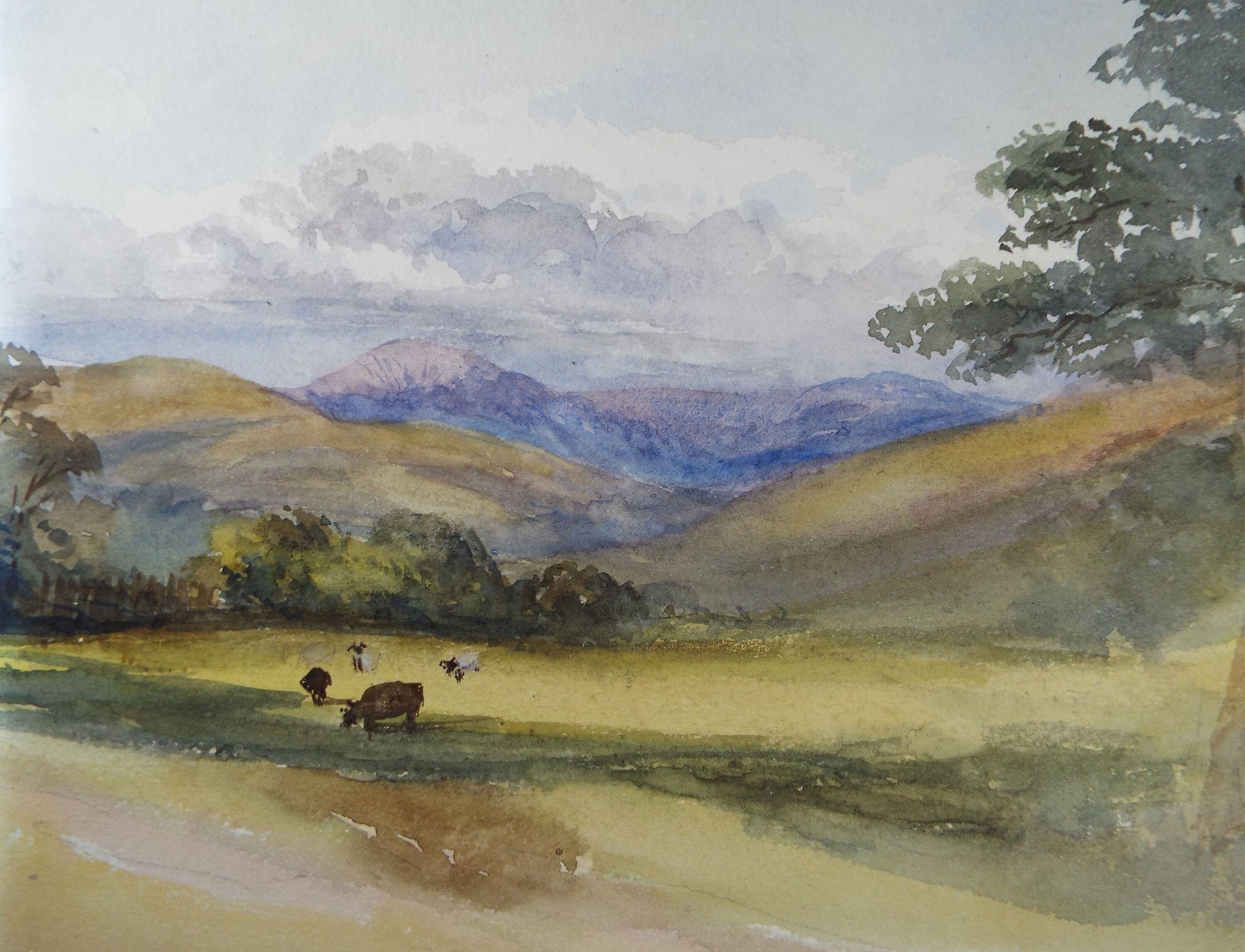Original Watercolour, 'Pastoral Landscape with Cattle ', c1920's, Unknown Artist