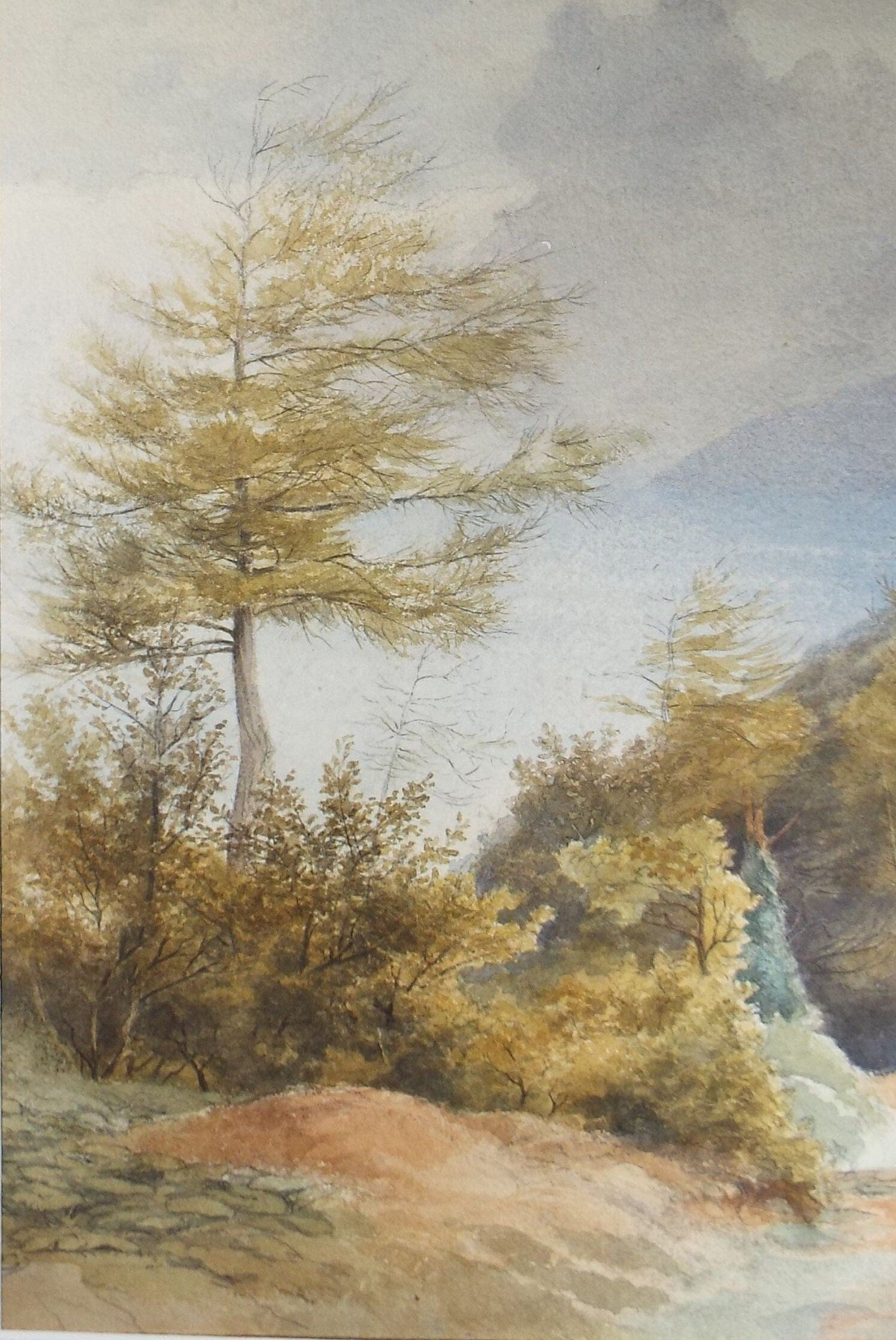 Original Watercolour, 'Coastline with Trees, early 20th Century, Artist Unknown