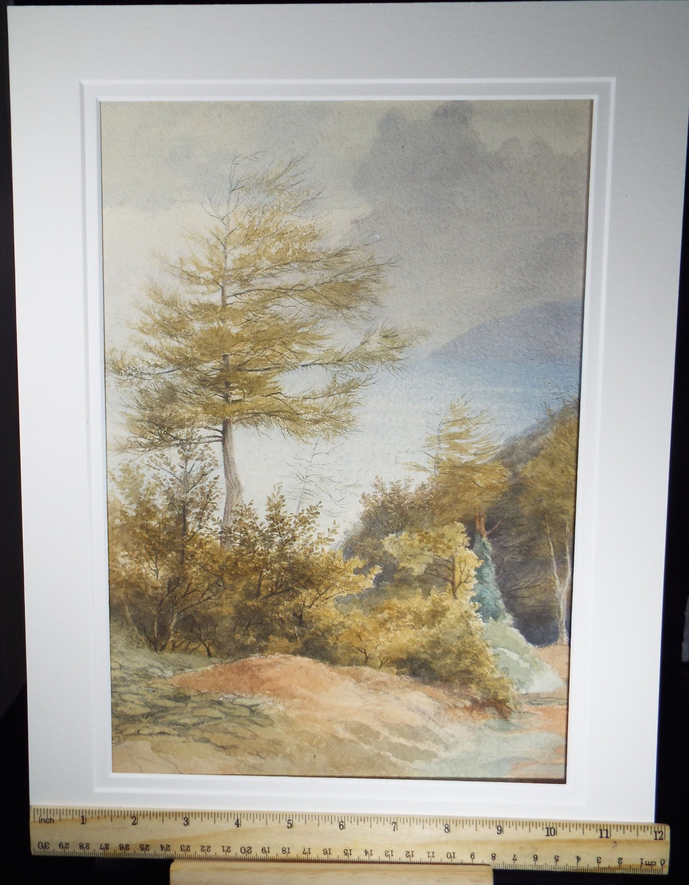 Original Watercolour, 'Coastline with Trees, early 20th Century, Artist Unknown