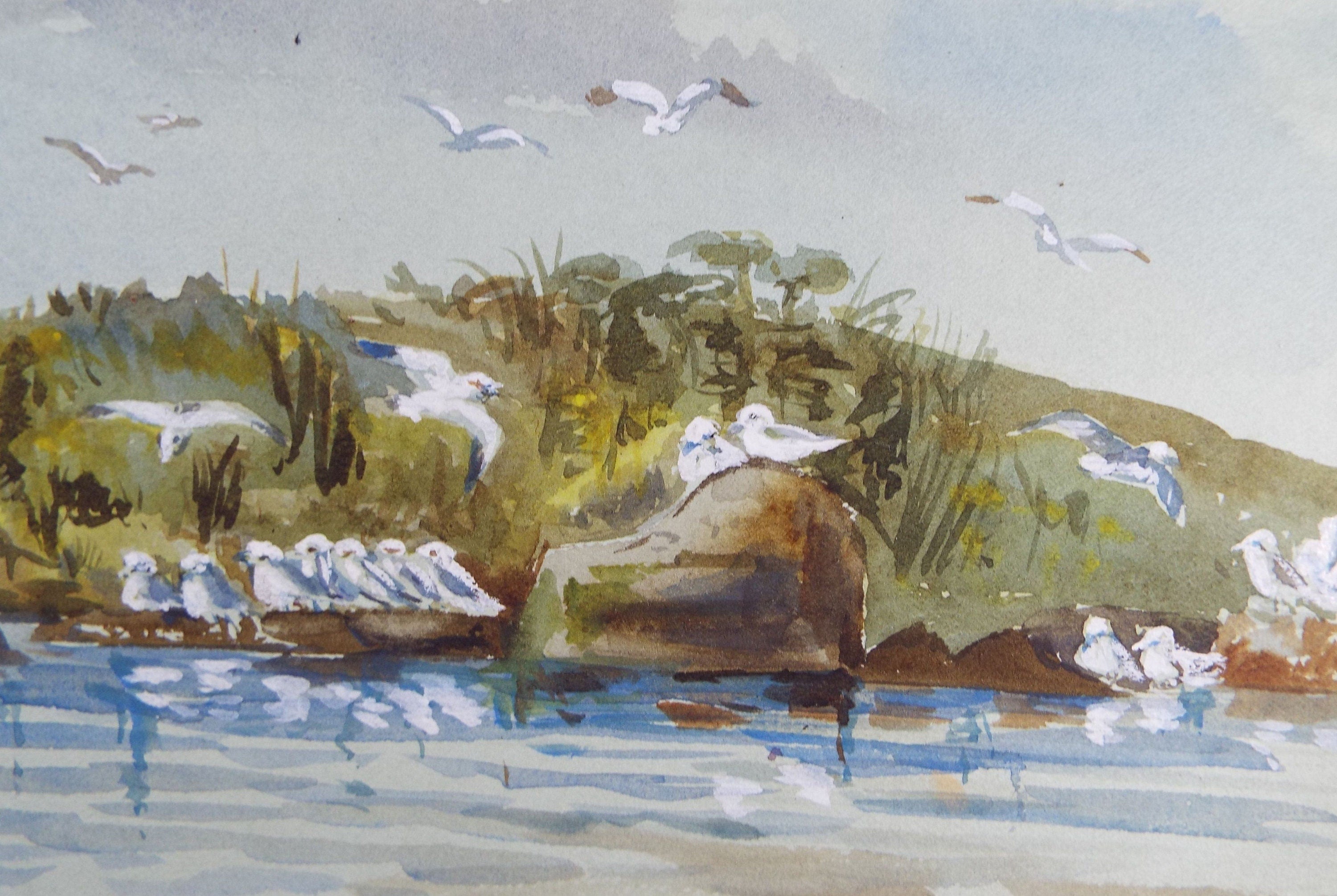 Original Watercolour, 'Gulls on the shore', mid 20th century, artist unknown
