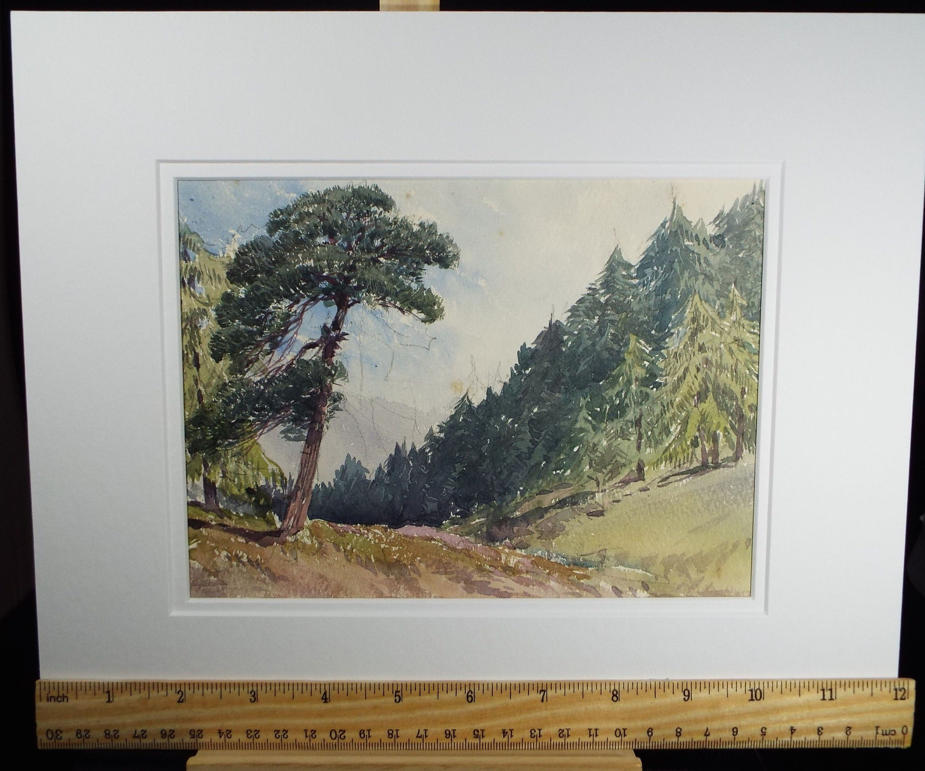 Original Watercolour, 'A study of Pine Trees', c1880, Artist Unknown