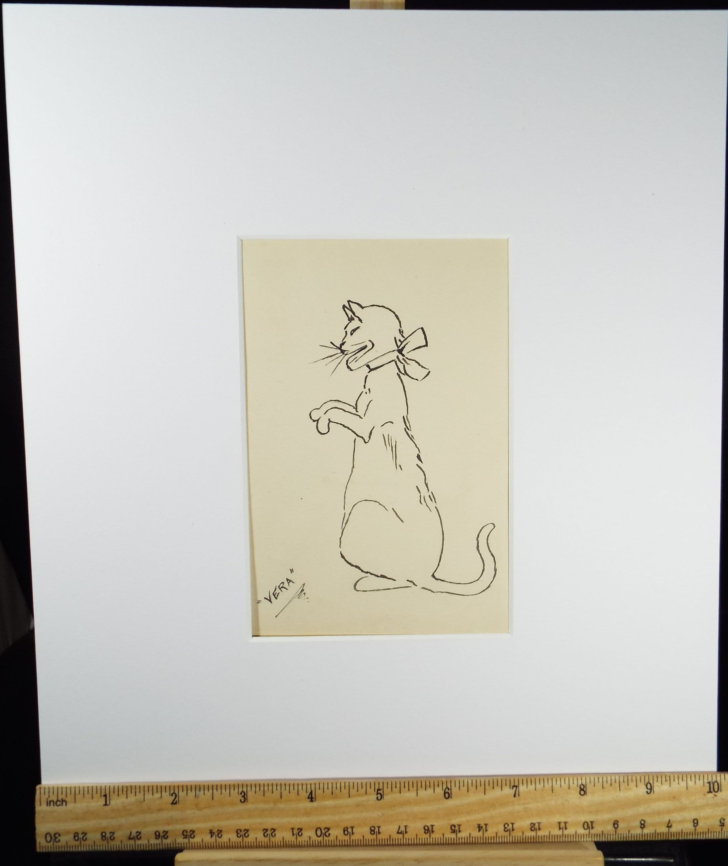 Original Pen & Ink Drawing , 'Vera - Naive portrait of a Cat', Circa 1910, Artist Unknown