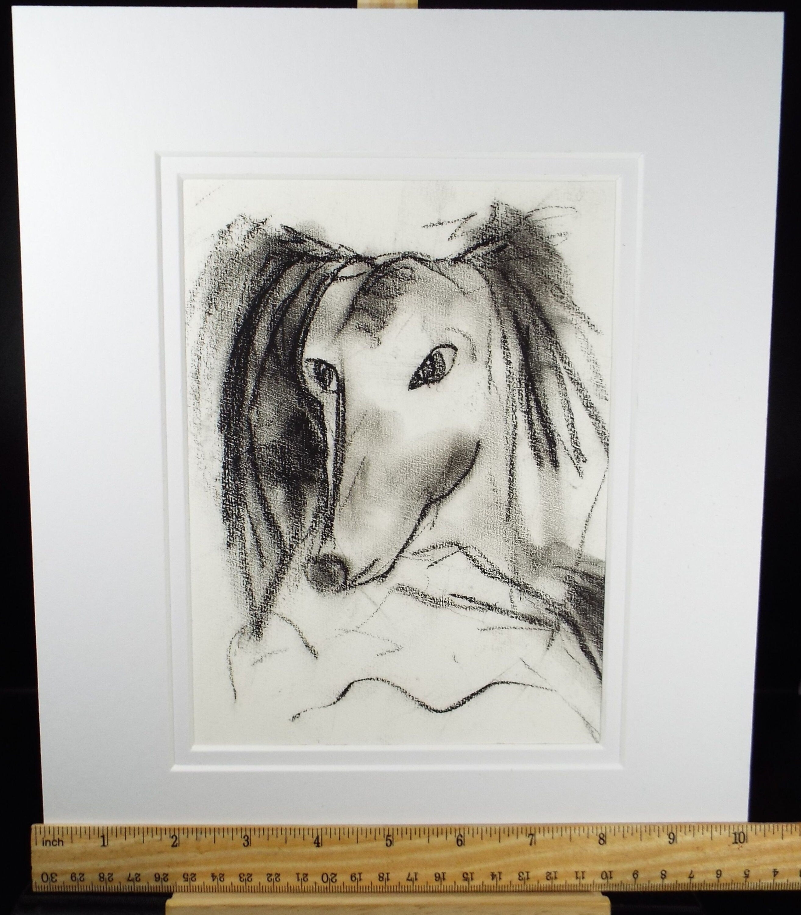 Barbara Karn (b1949) Original Charcoal Drawing ,'Portrait of a Hound', Circa 2000, Signed below the mount