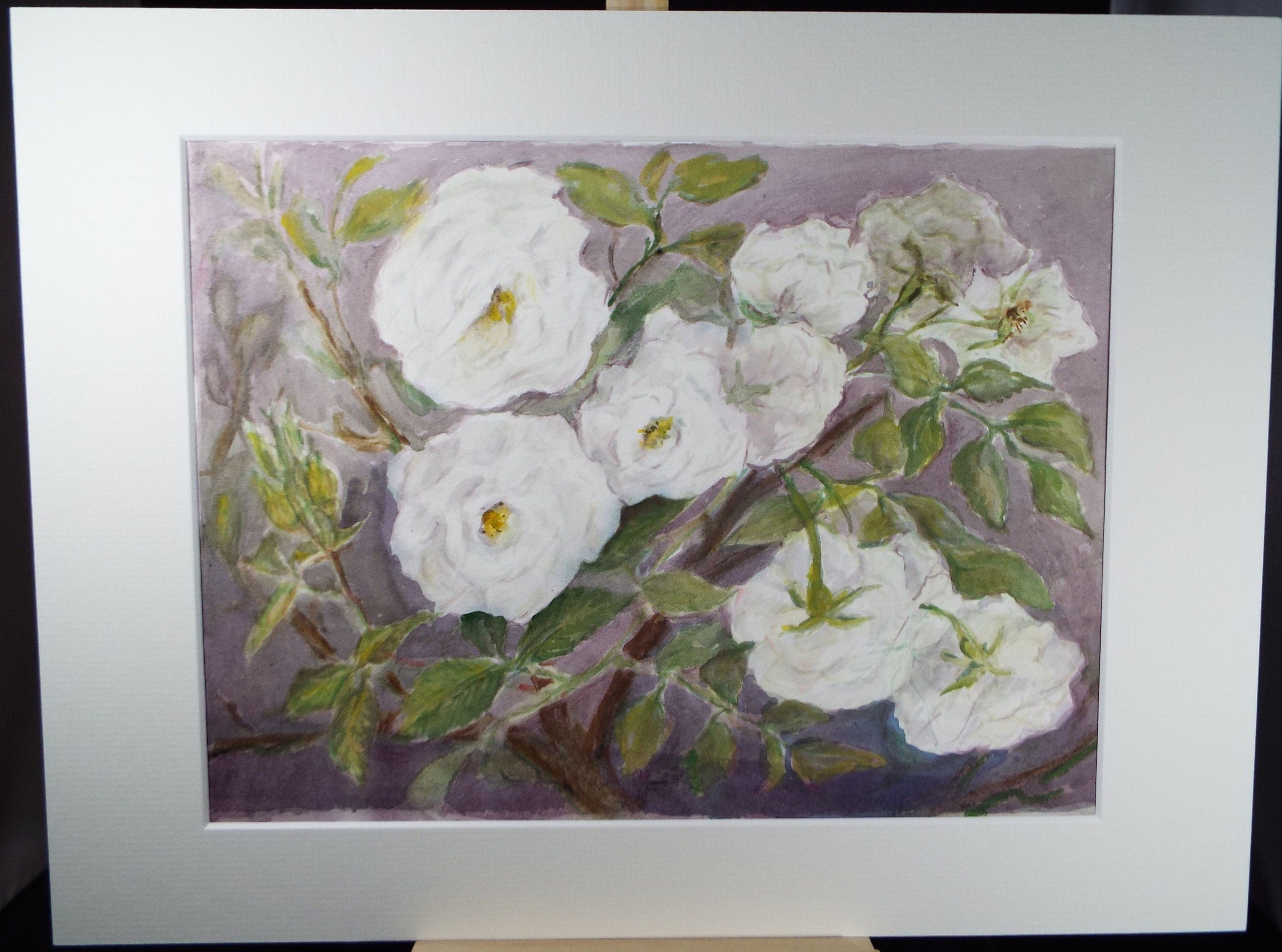 Original Watercolour & Gouache, 'Study of White Roses' 1950's, Artist Unknown