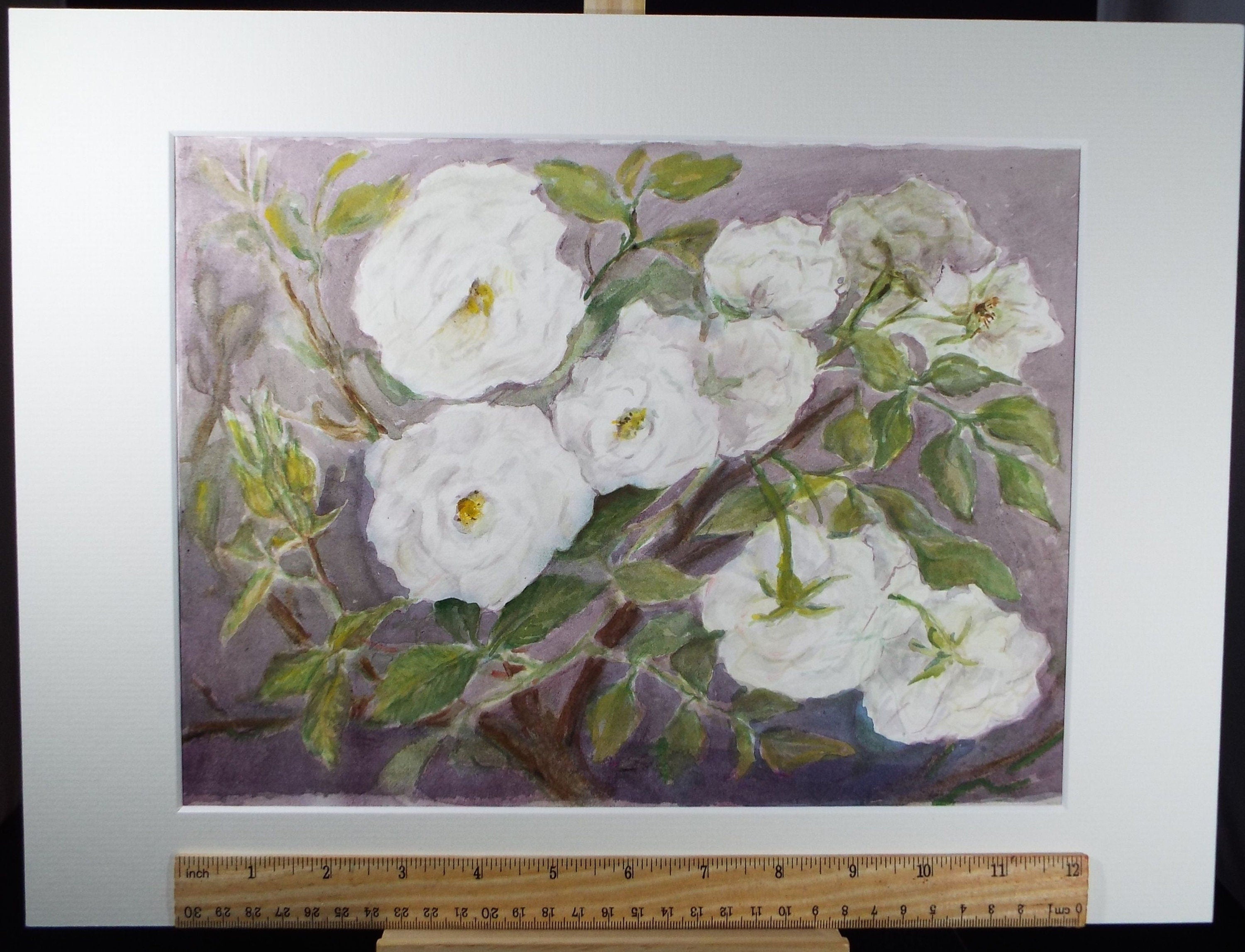 Original Watercolour & Gouache, 'Study of White Roses' 1950's, Artist Unknown