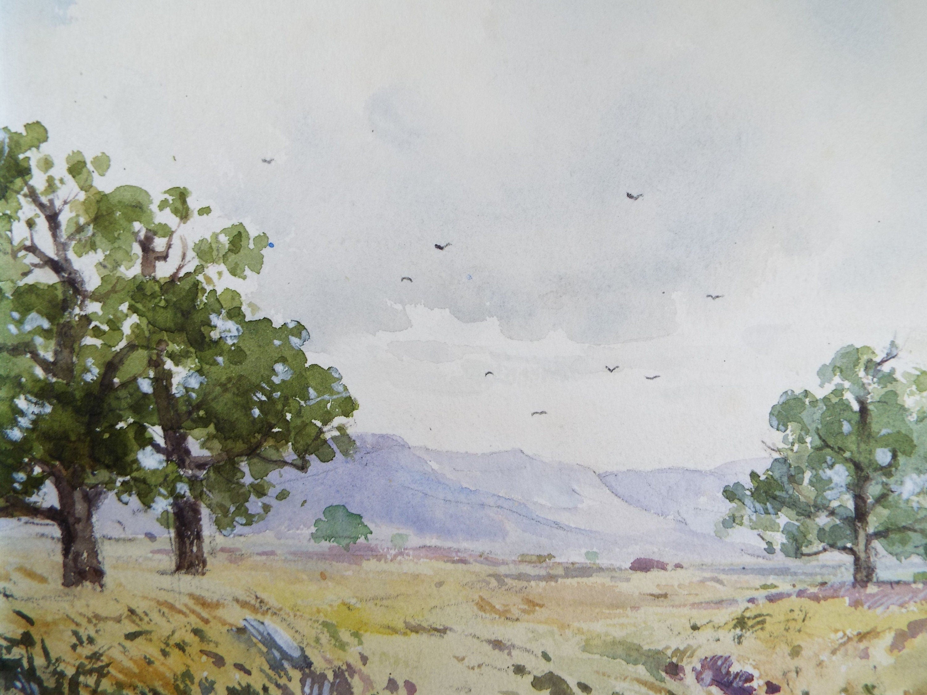 Original Watercolour, 'Landscape with Distant Hills', Dated 1969, Adrian Bury (1891-1991)