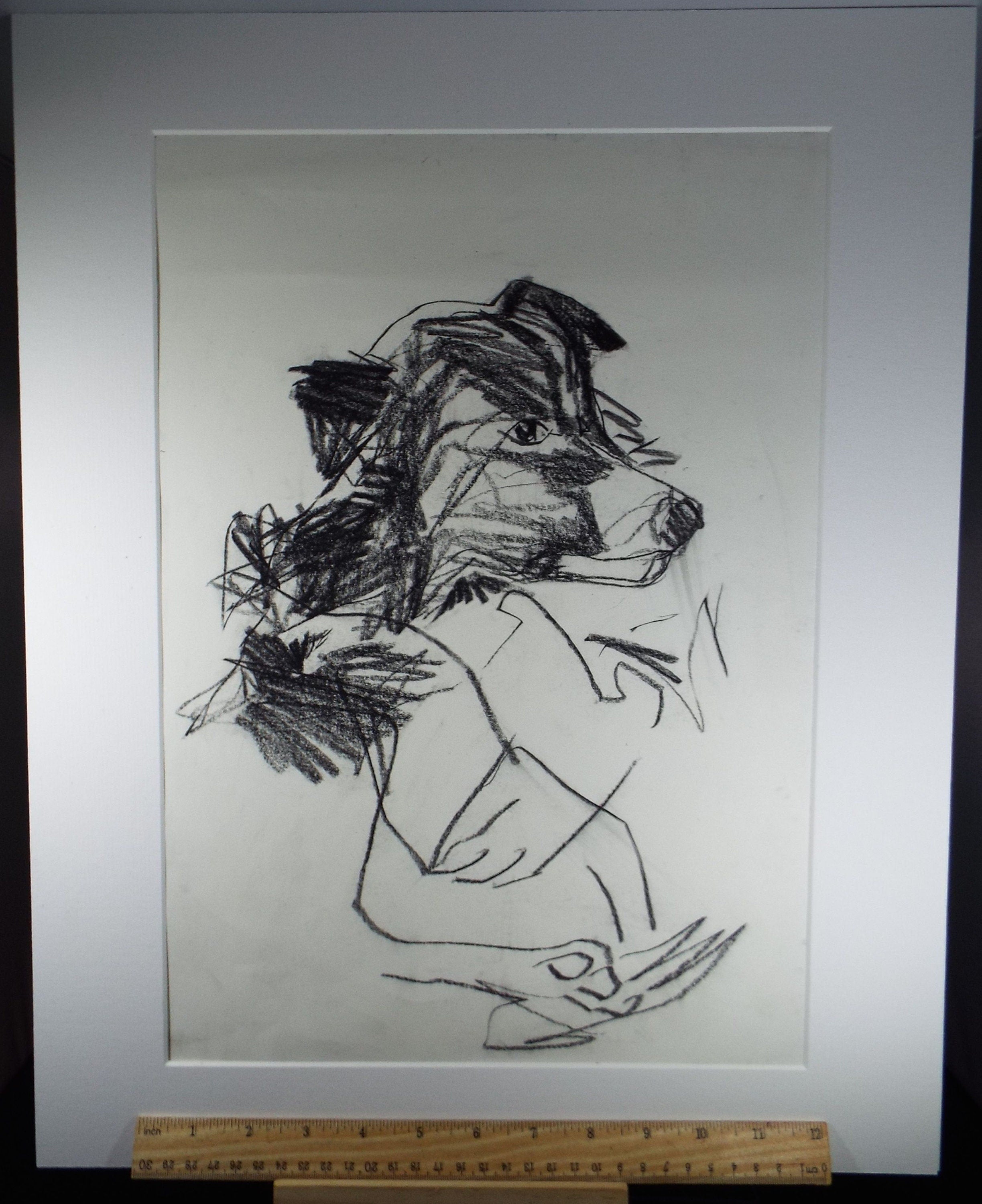 Barbara Karn (b1949) Original Charcoal/Conte Drawing ,'Portrait of a Terrier', Circa 2000