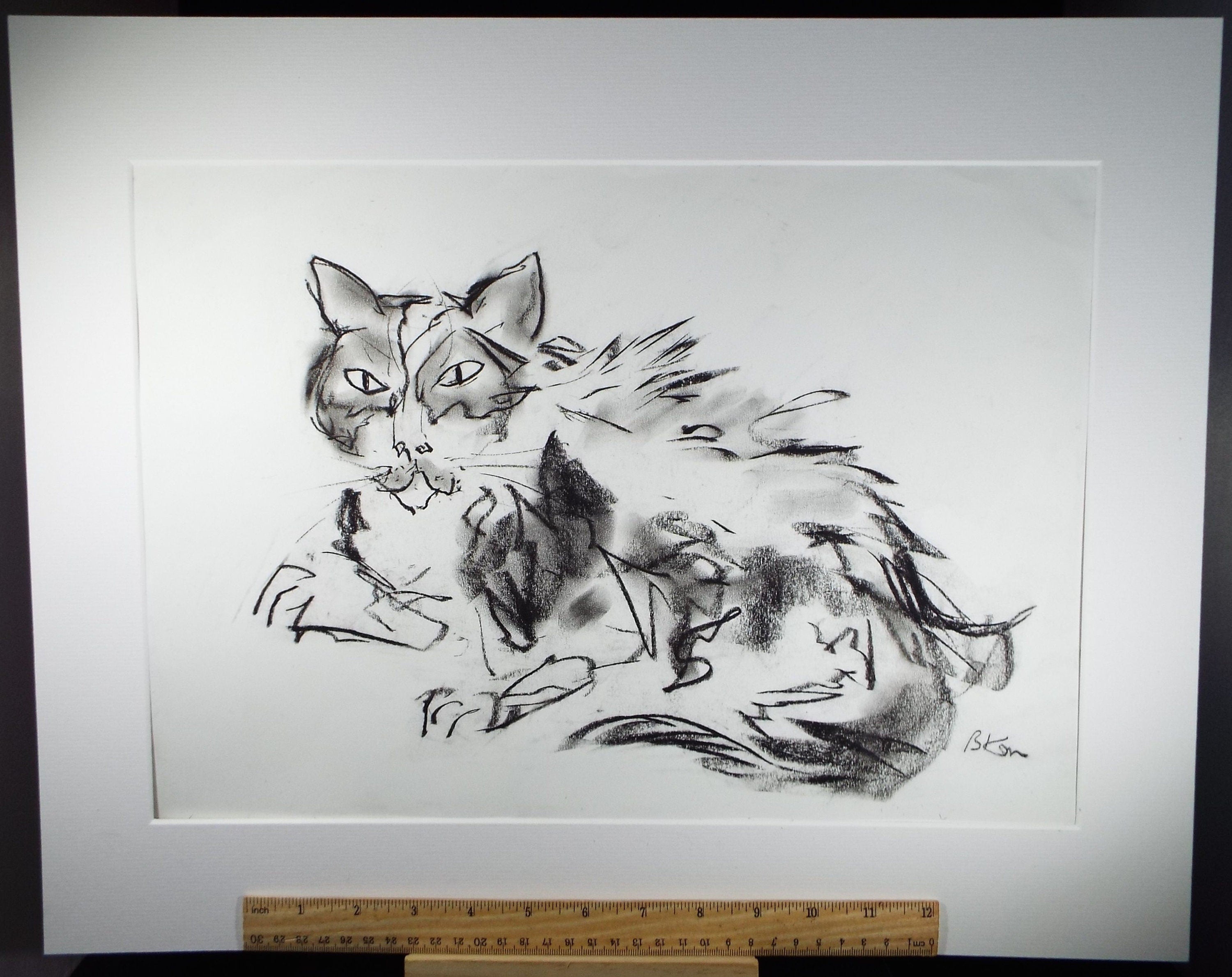 Barbara Karn (b1949) Original Charcoal/Conte Drawing ,'Portrait of a Cat', Circa 2000