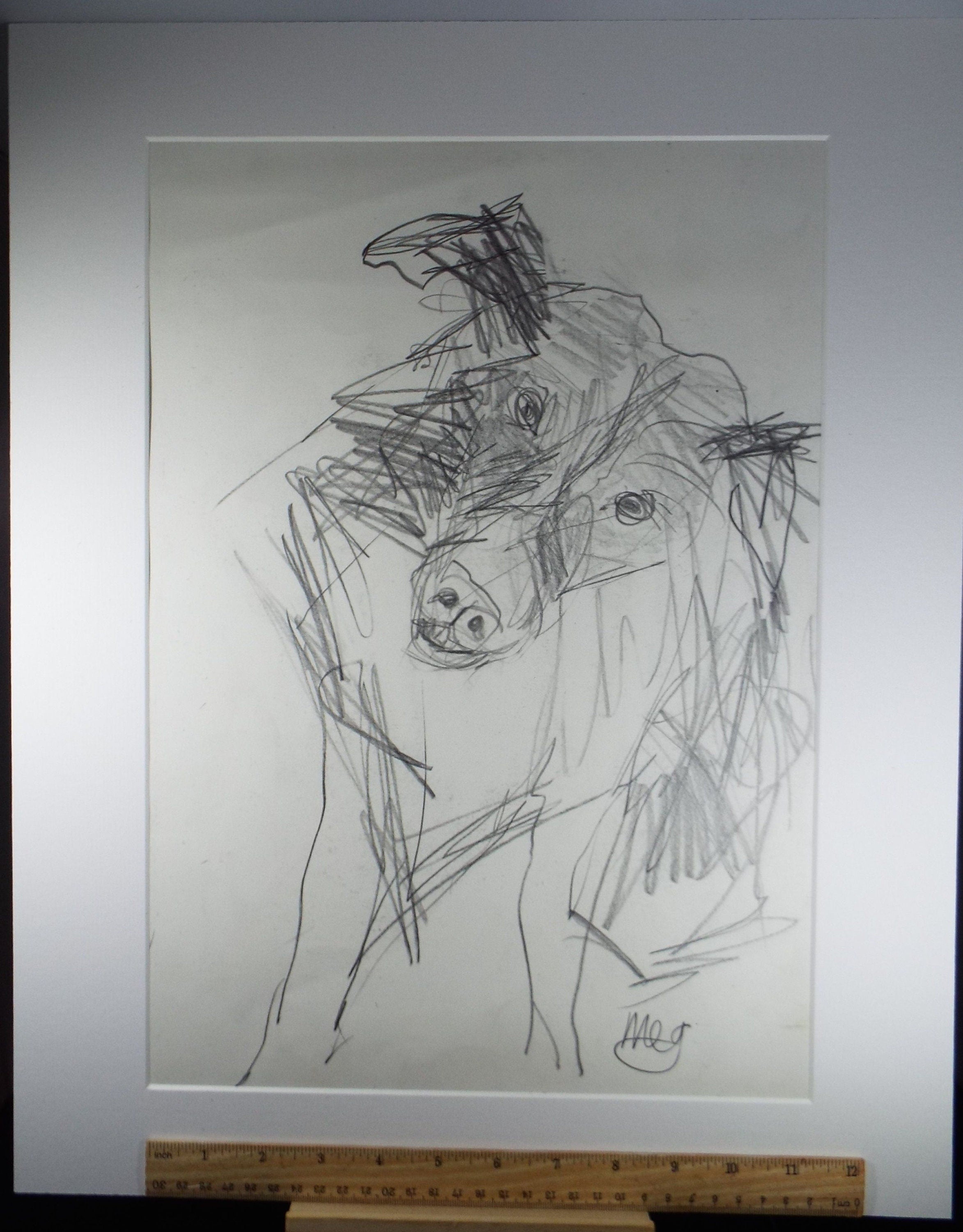 Barbara Karn (b1949) Original Pencil Drawing ,'Meg- Portrait of a Terrier', Circa 2000