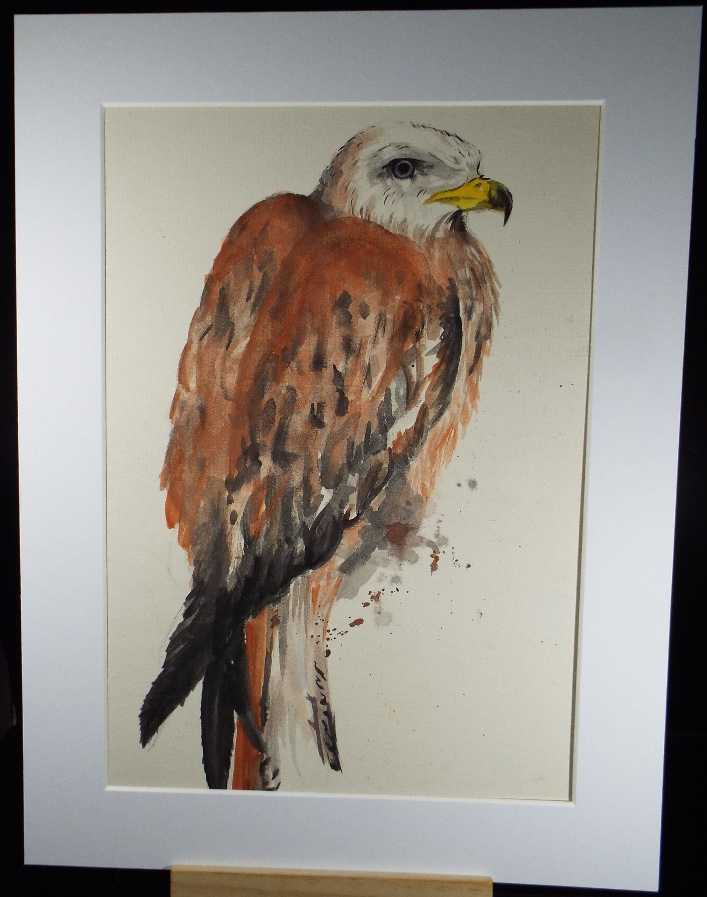 Original watercolour, 'Eagle Study', Circa 1980's, Artist Unknown