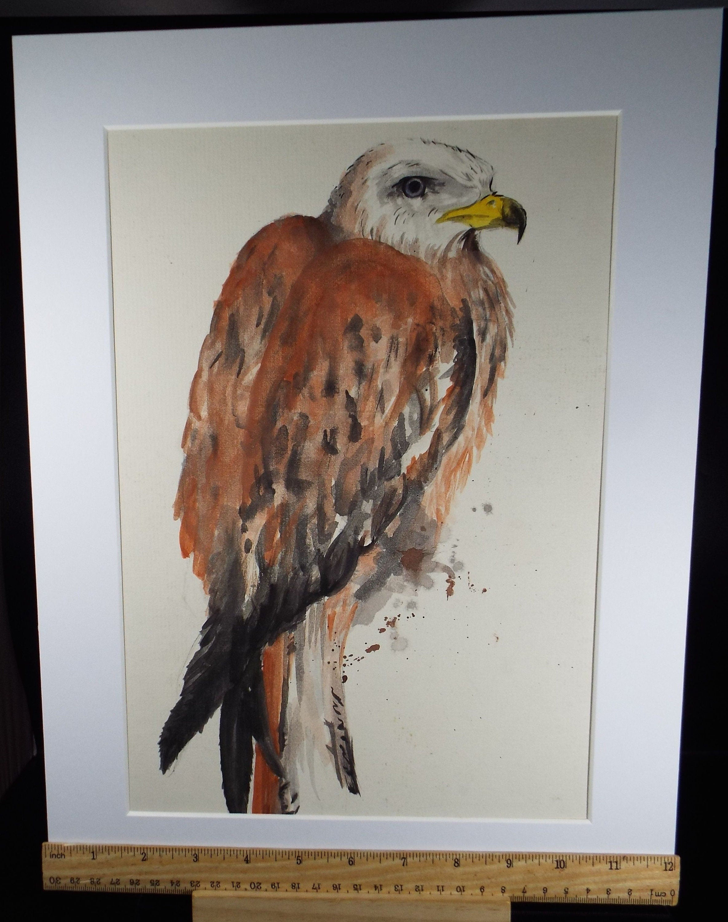 Original watercolour, 'Eagle Study', Circa 1980's, Artist Unknown
