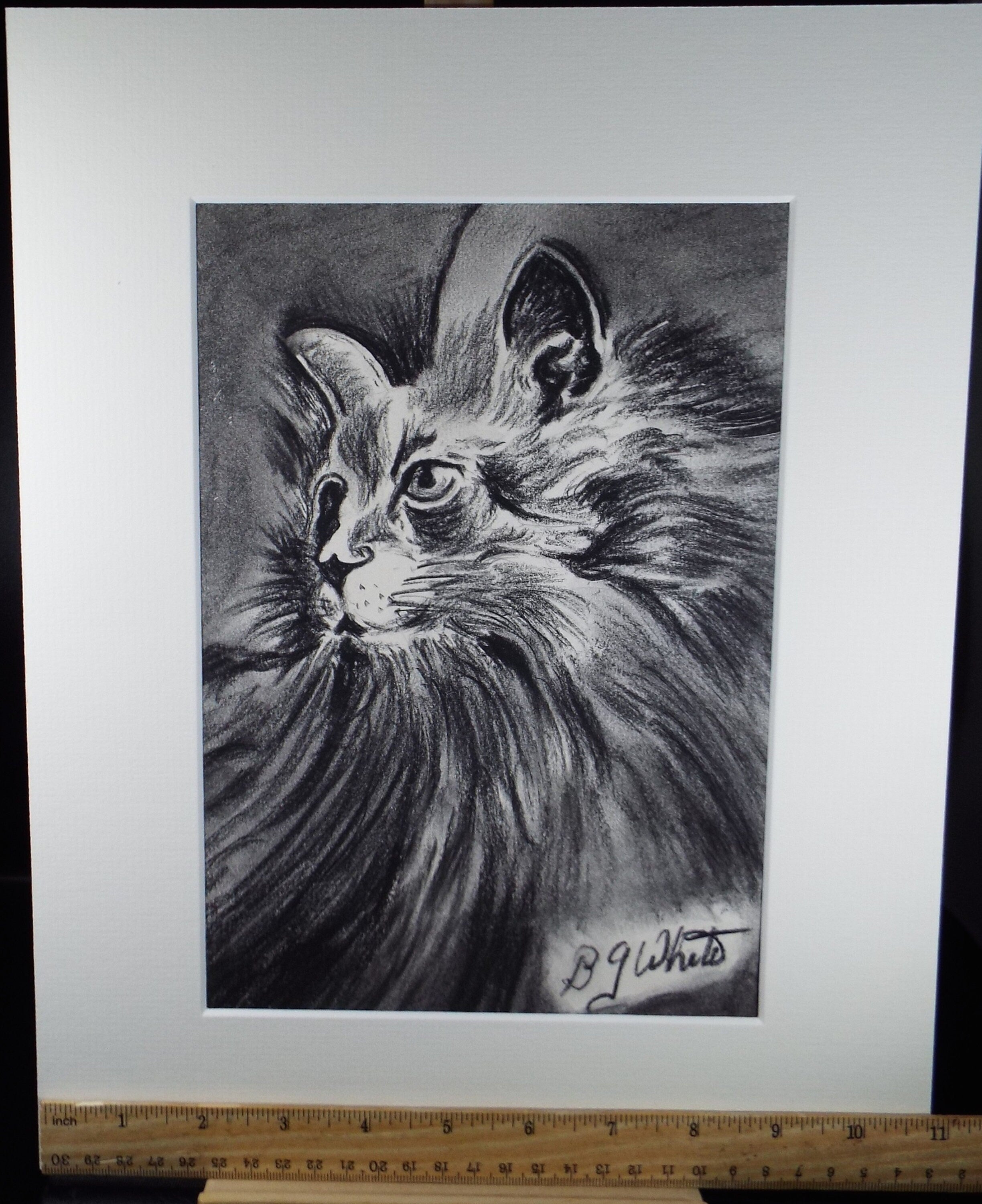 Pencil Drawing and Conte, 'Portrait of a Cat', Circa 1980's, B G White