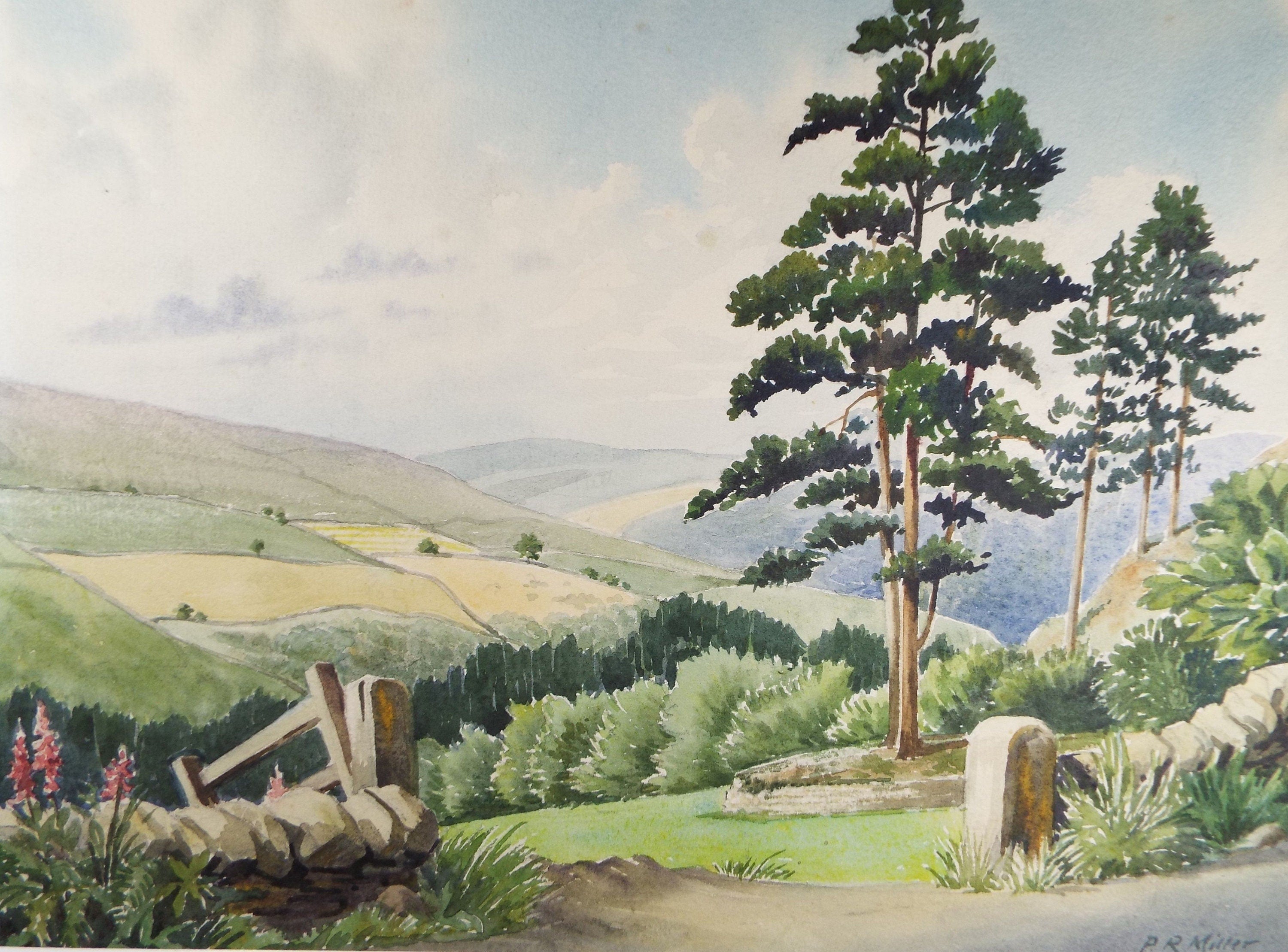Original Watercolour, 'Rowsley Pines, Derbyshire', c1960's, P.R. Miller
