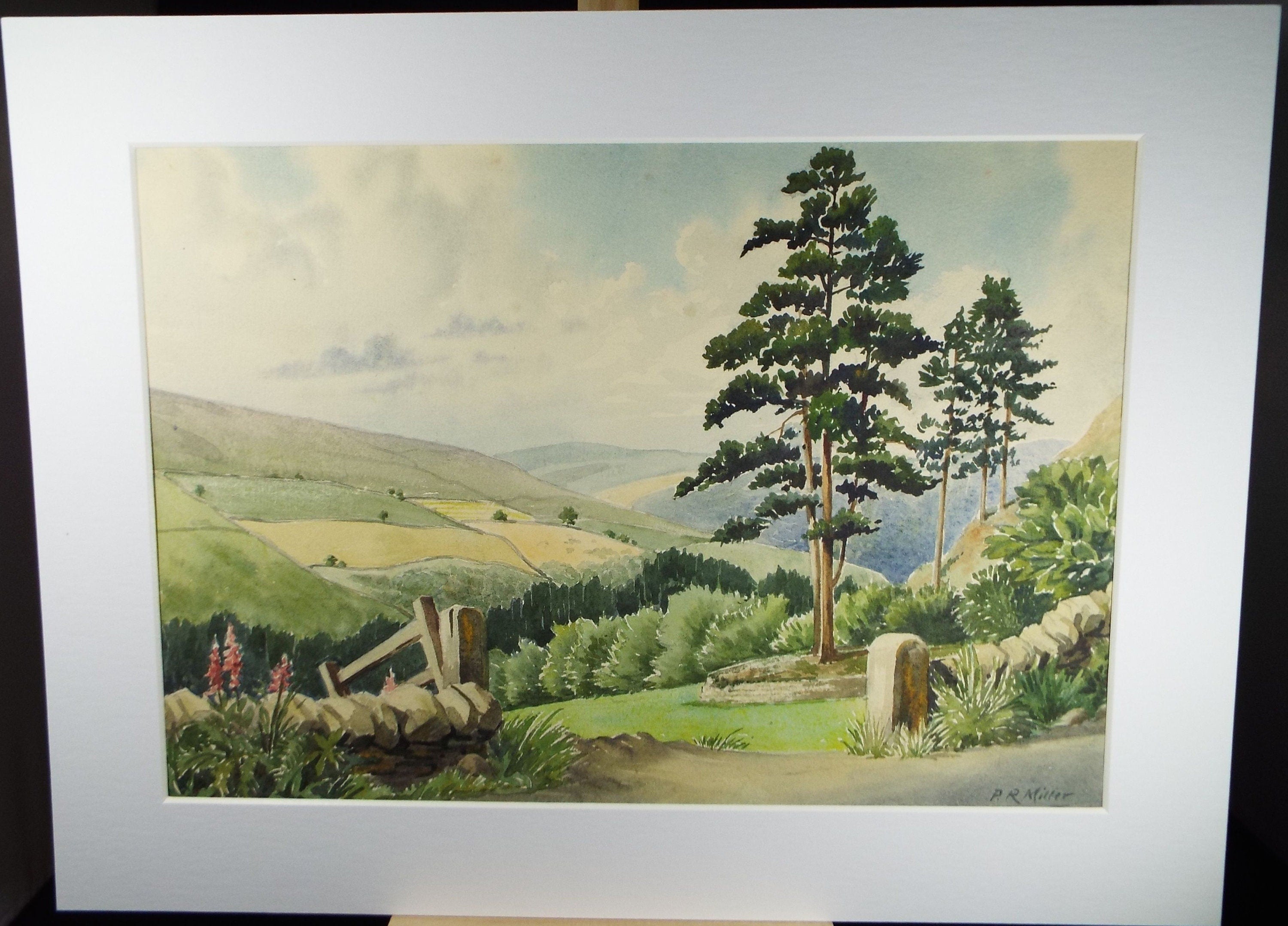 Original Watercolour, 'Rowsley Pines, Derbyshire', c1960's, P.R. Miller