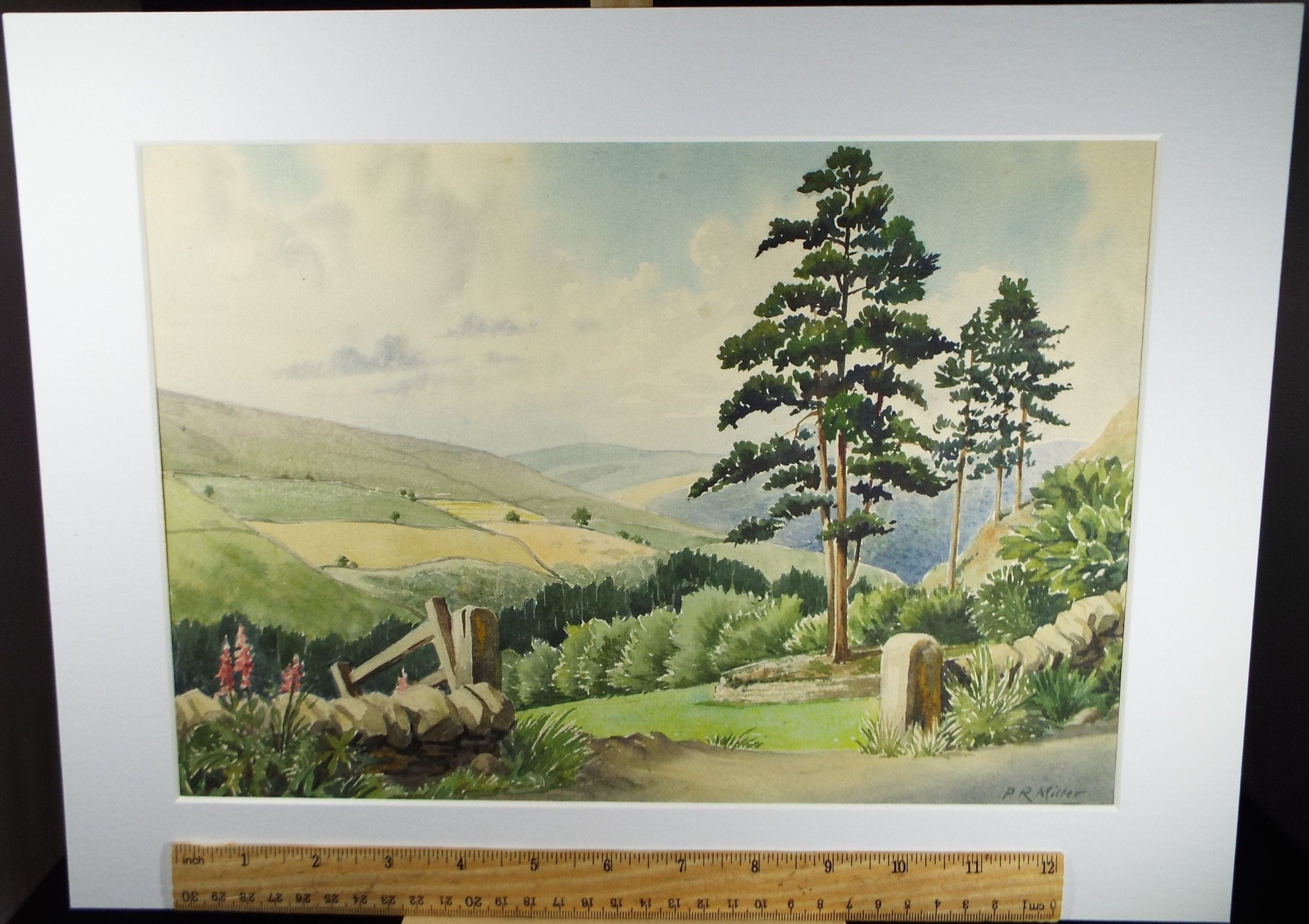 Original Watercolour, 'Rowsley Pines, Derbyshire', c1960's, P.R. Miller