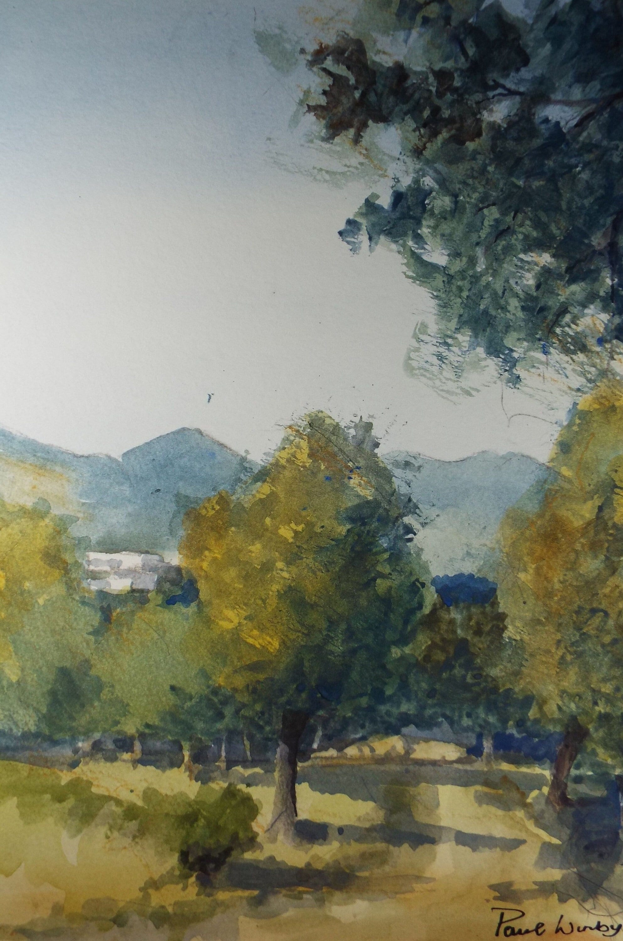 Original Watercolour on Paper, 'Olive Grove', Paul Winby, Circa 1990's
