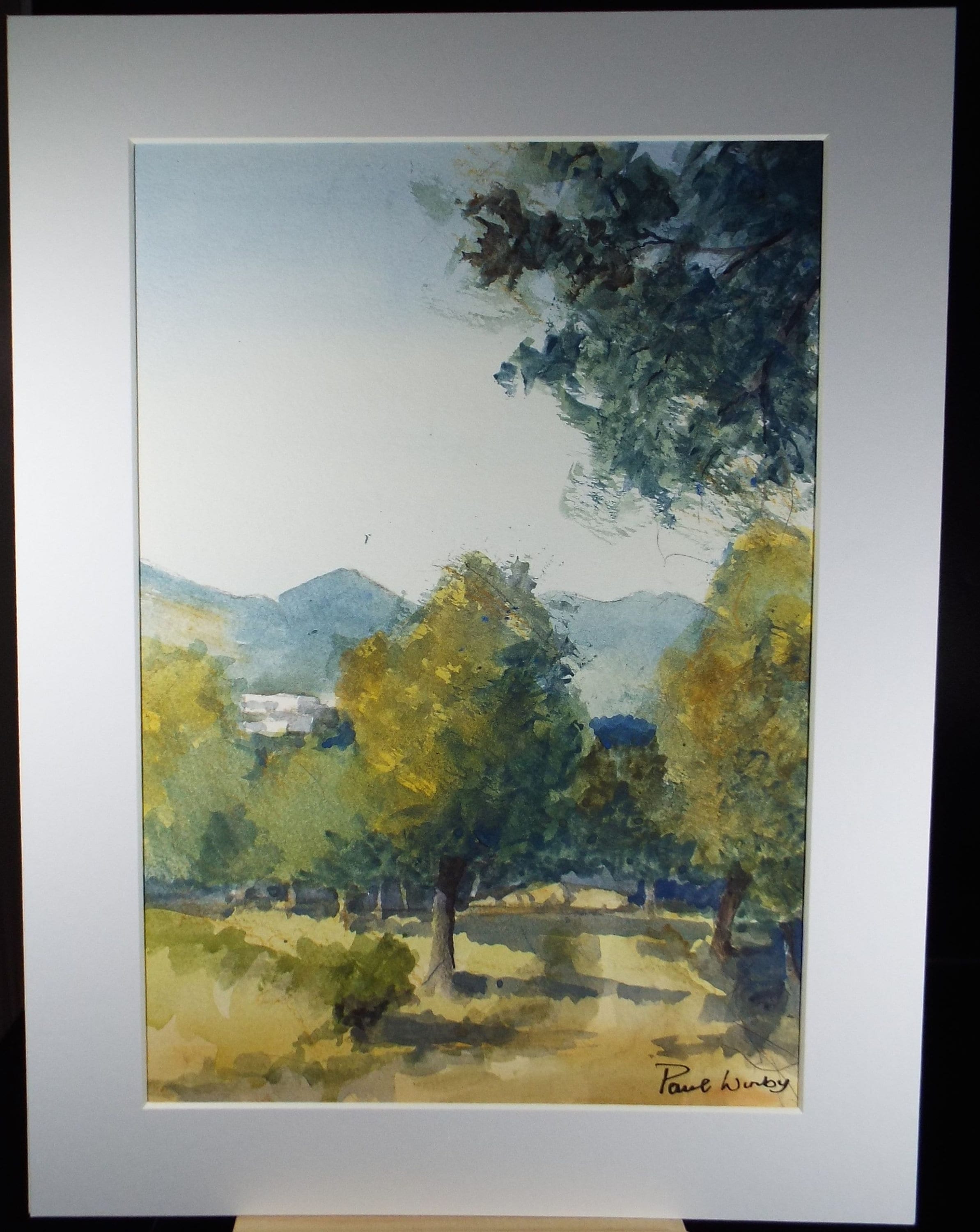 Original Watercolour on Paper, 'Olive Grove', Paul Winby, Circa 1990's