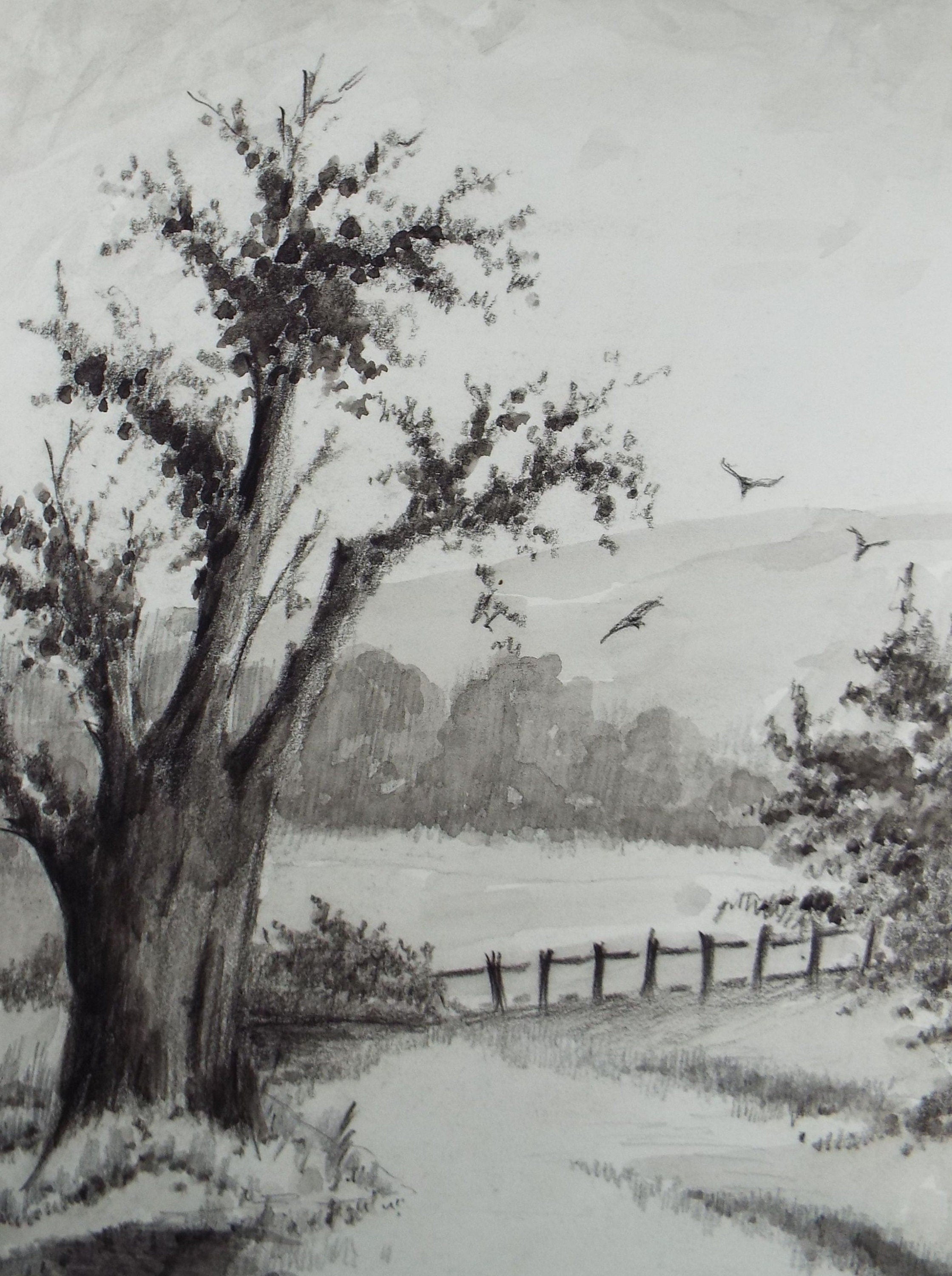 Original Ink and Wash 'Tree Study with Distant Fields' 1940's, A Simmons