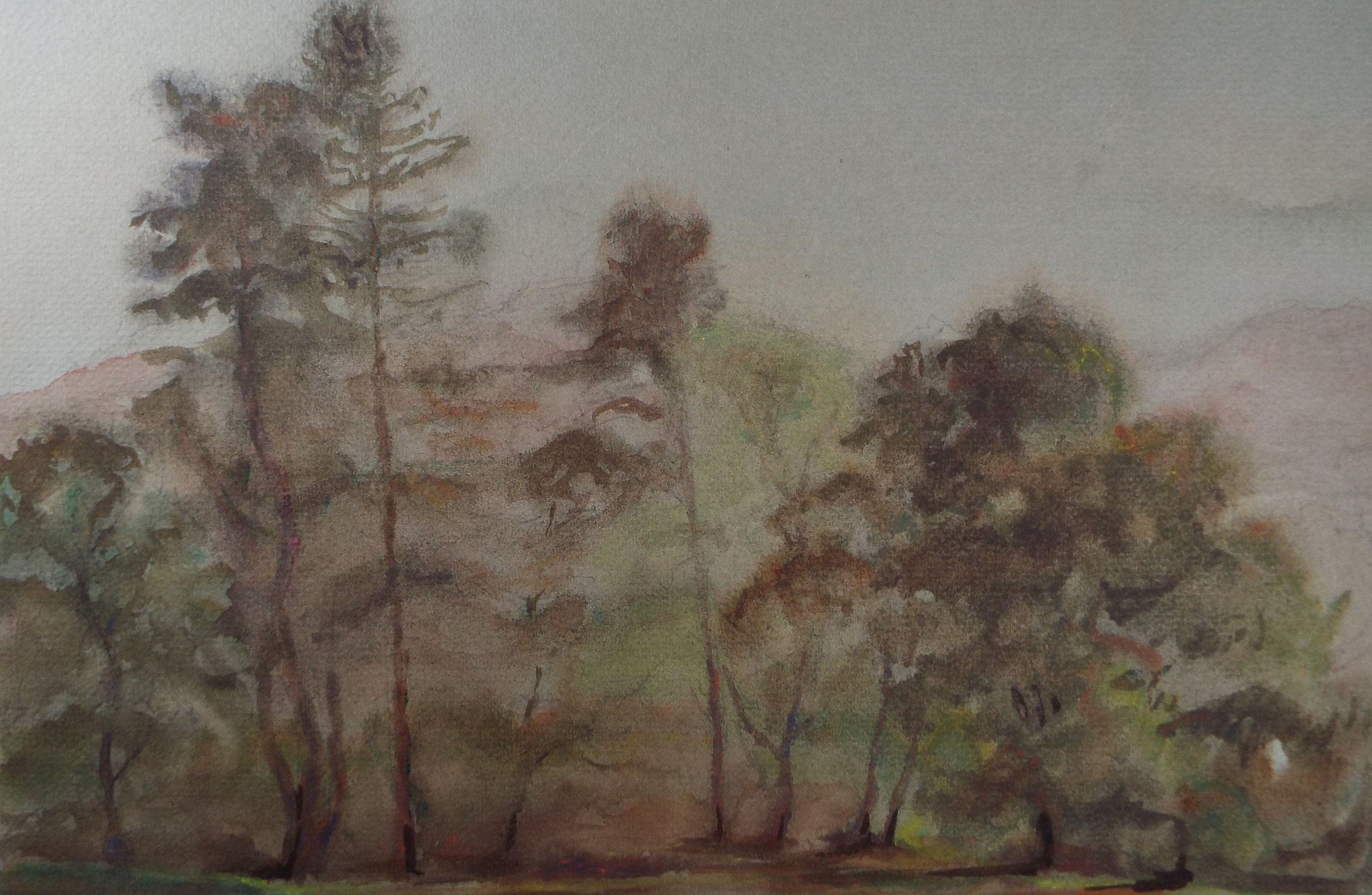 Original Watercolour, 'Stand of Trees', Circa 1970's Artist Unknown