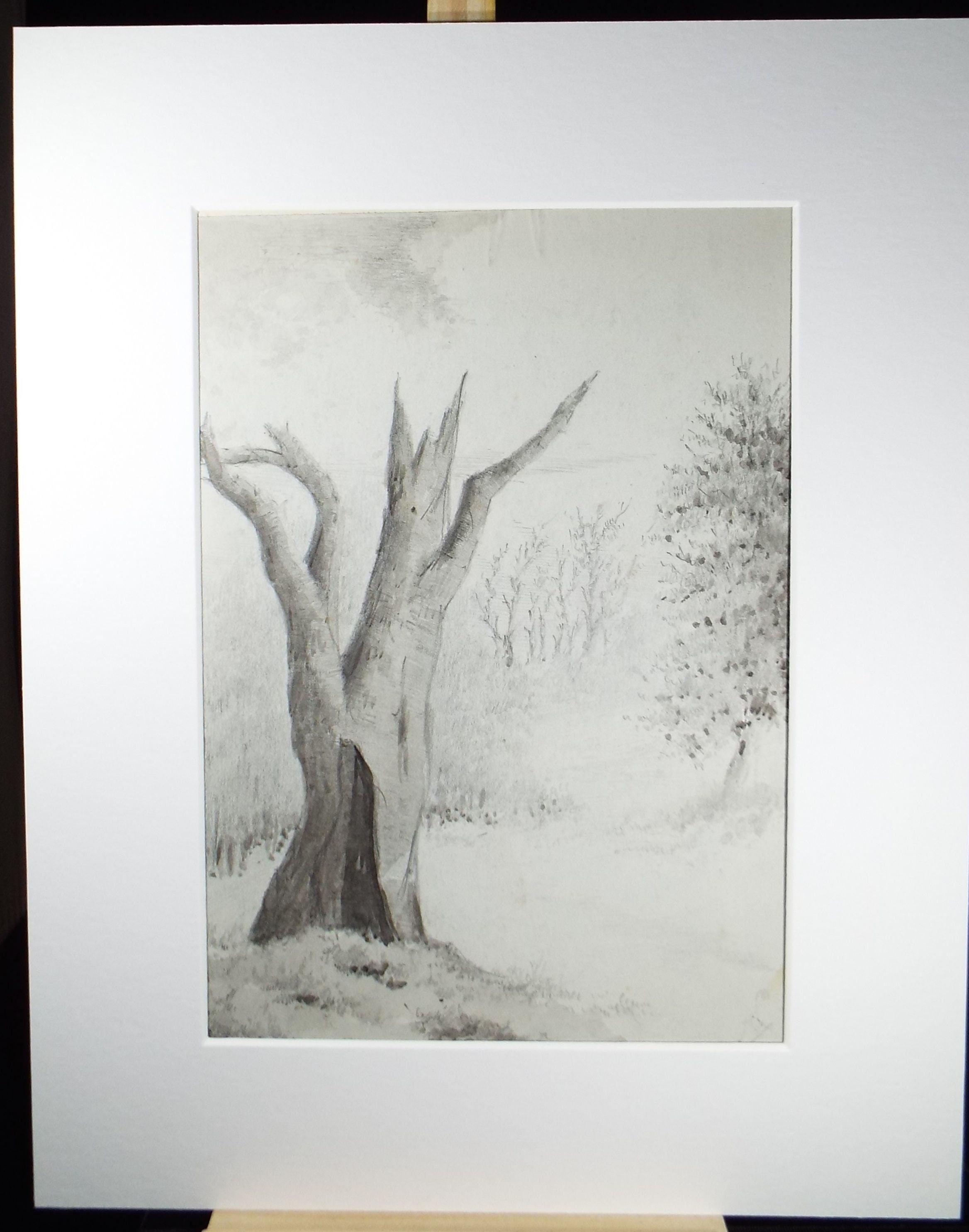 Original Ink and Wash 'The Lightning Tree' 1940's, A Simmons