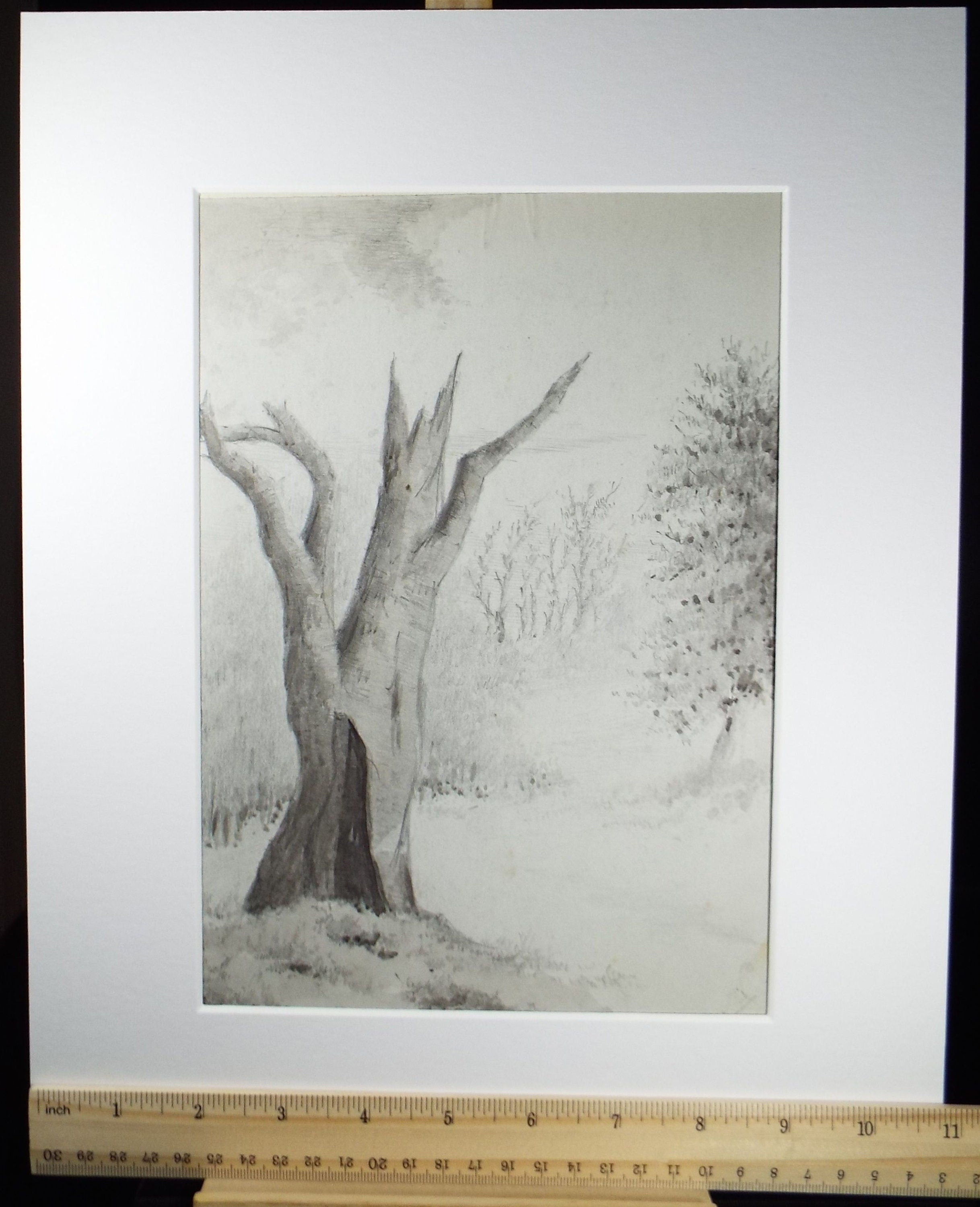 Original Ink and Wash 'The Lightning Tree' 1940's, A Simmons