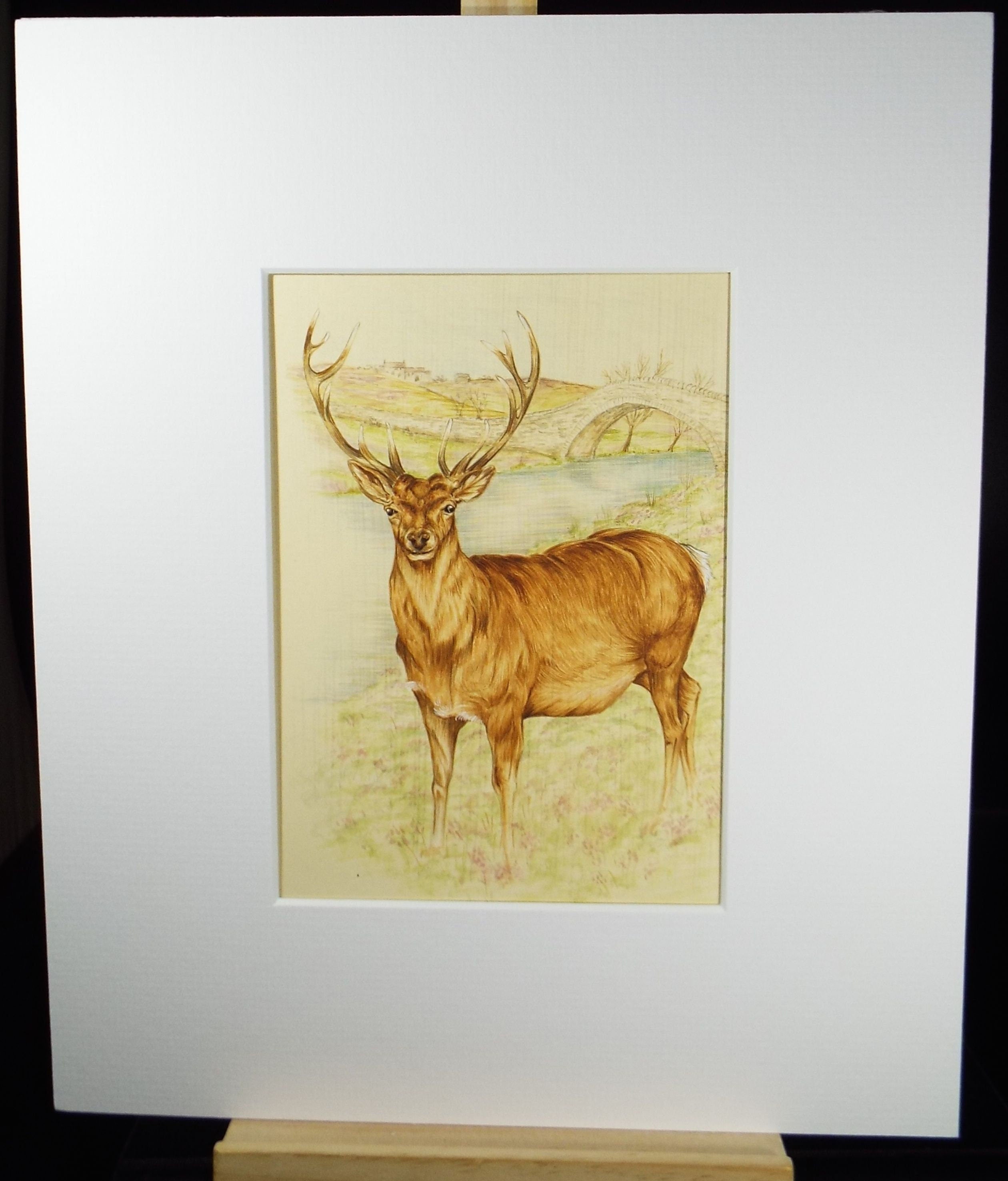 Original watercolour, 'Study of a Stag', Circa 1980's, Artist Unknown