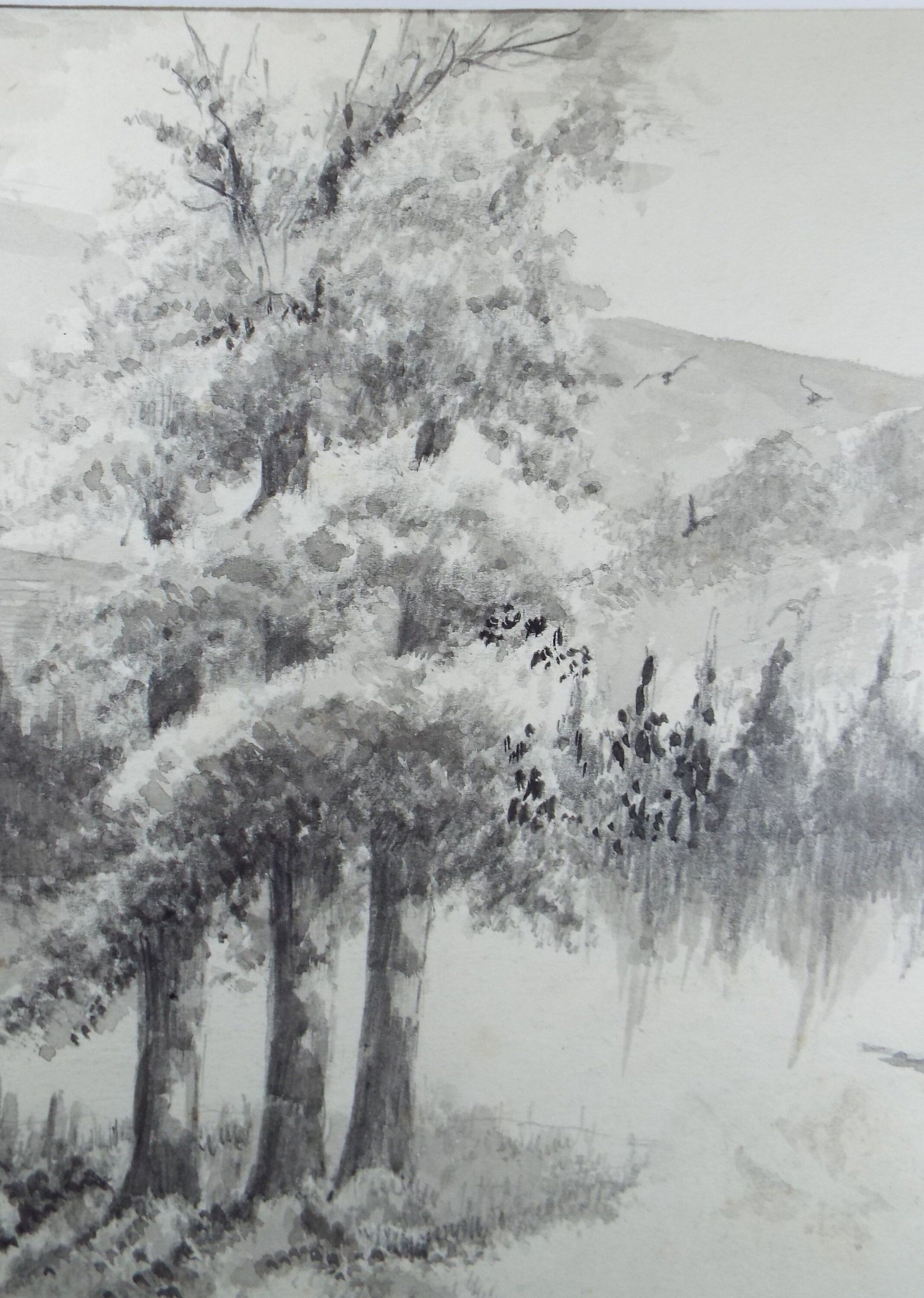 Original Ink and Wash 'Wooded Hillside' 1940's, A Simmons