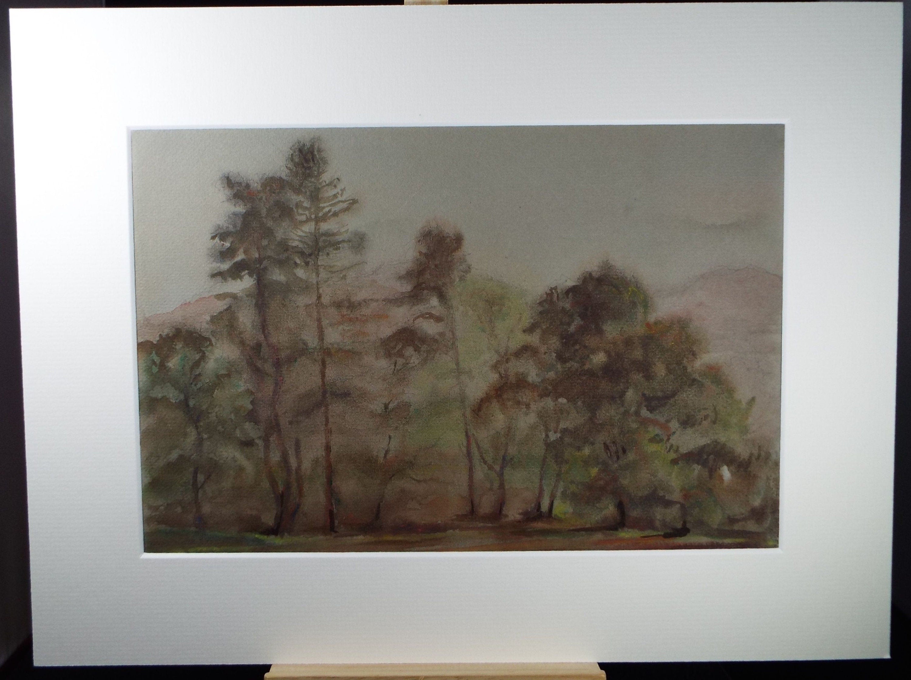 Original Watercolour, 'Stand of Trees', Circa 1970's Artist Unknown