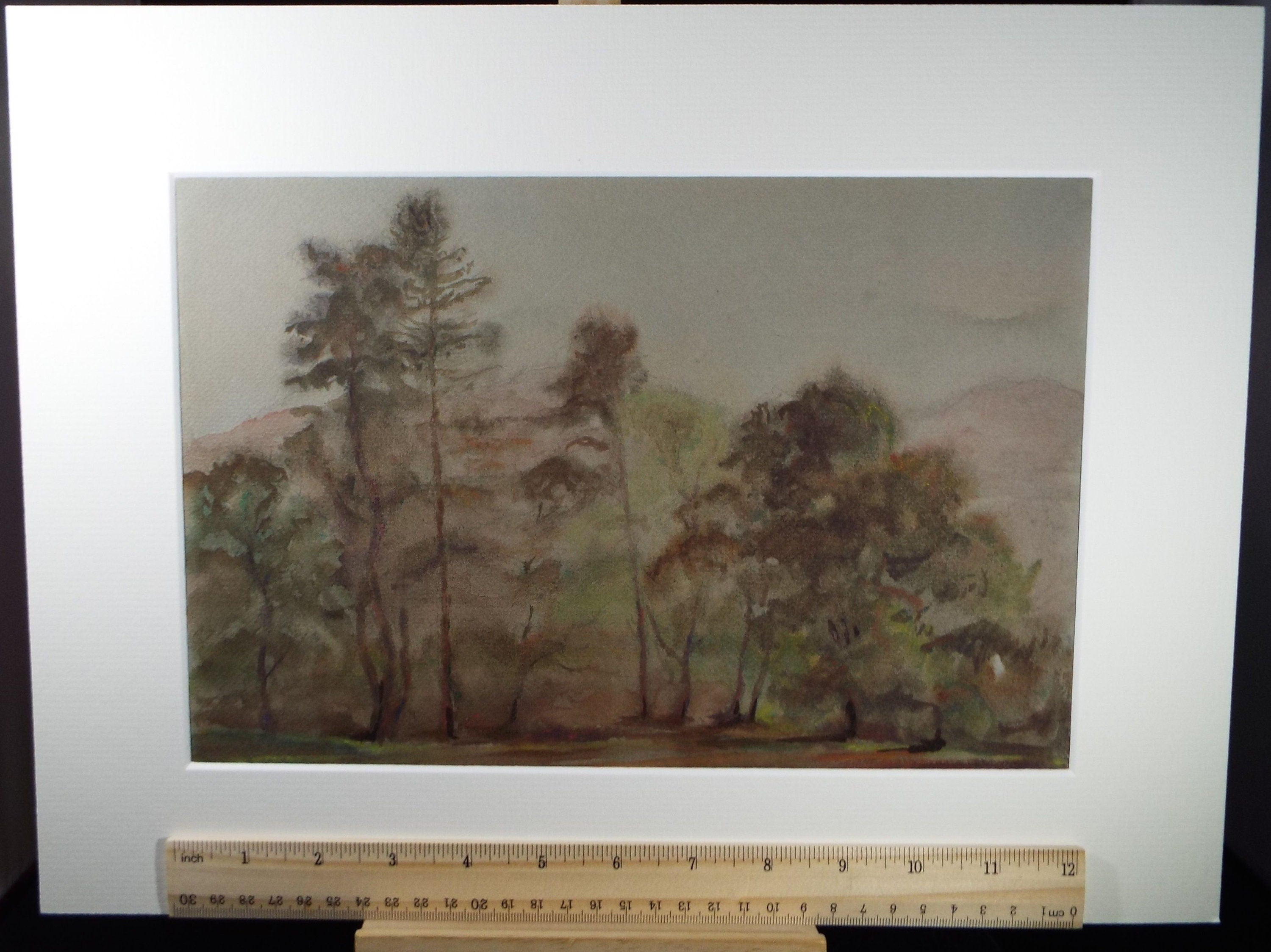 Original Watercolour, 'Stand of Trees', Circa 1970's Artist Unknown
