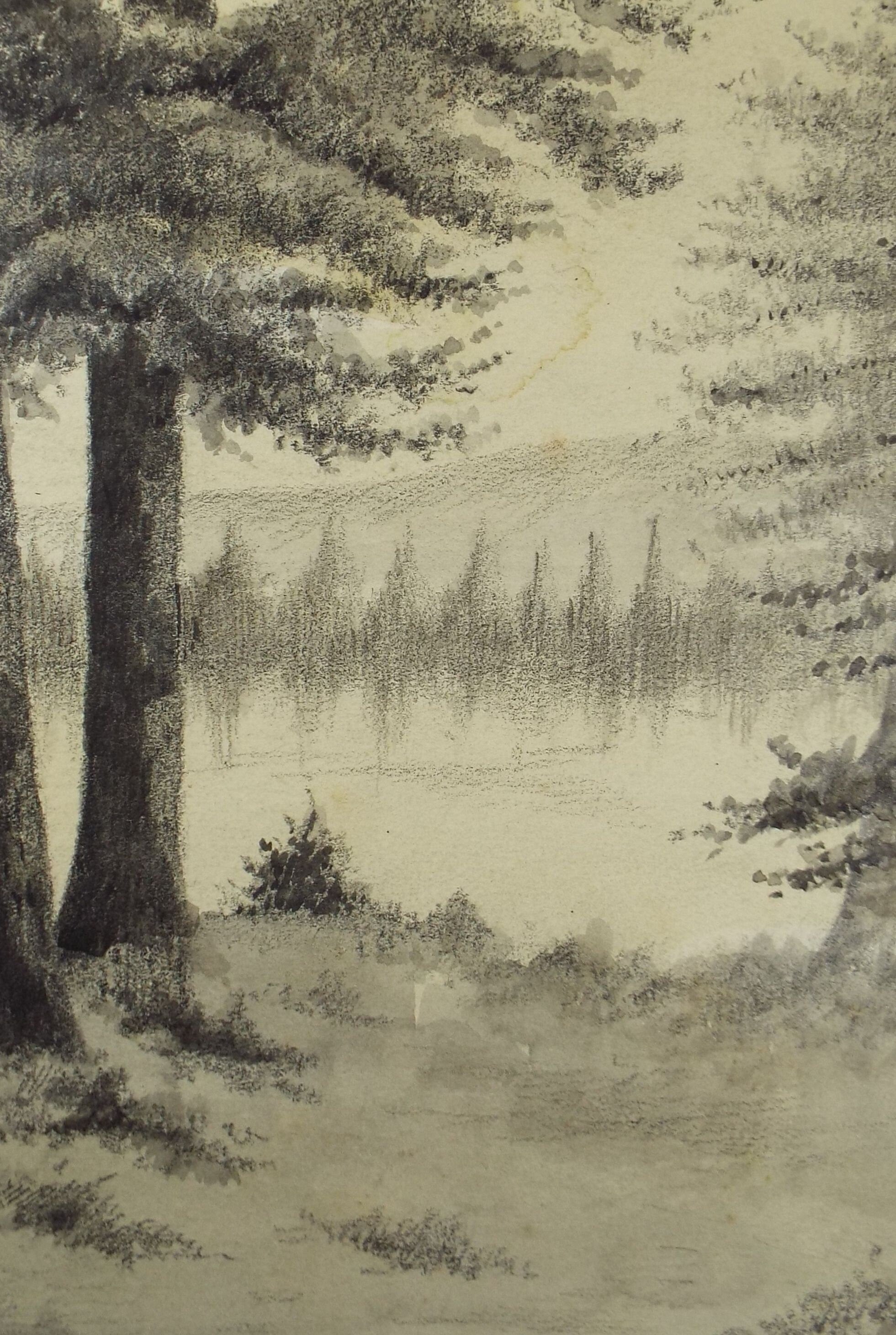 Original Ink & Wash, 'Trees by a lake', A Simmons, Circa 1940's