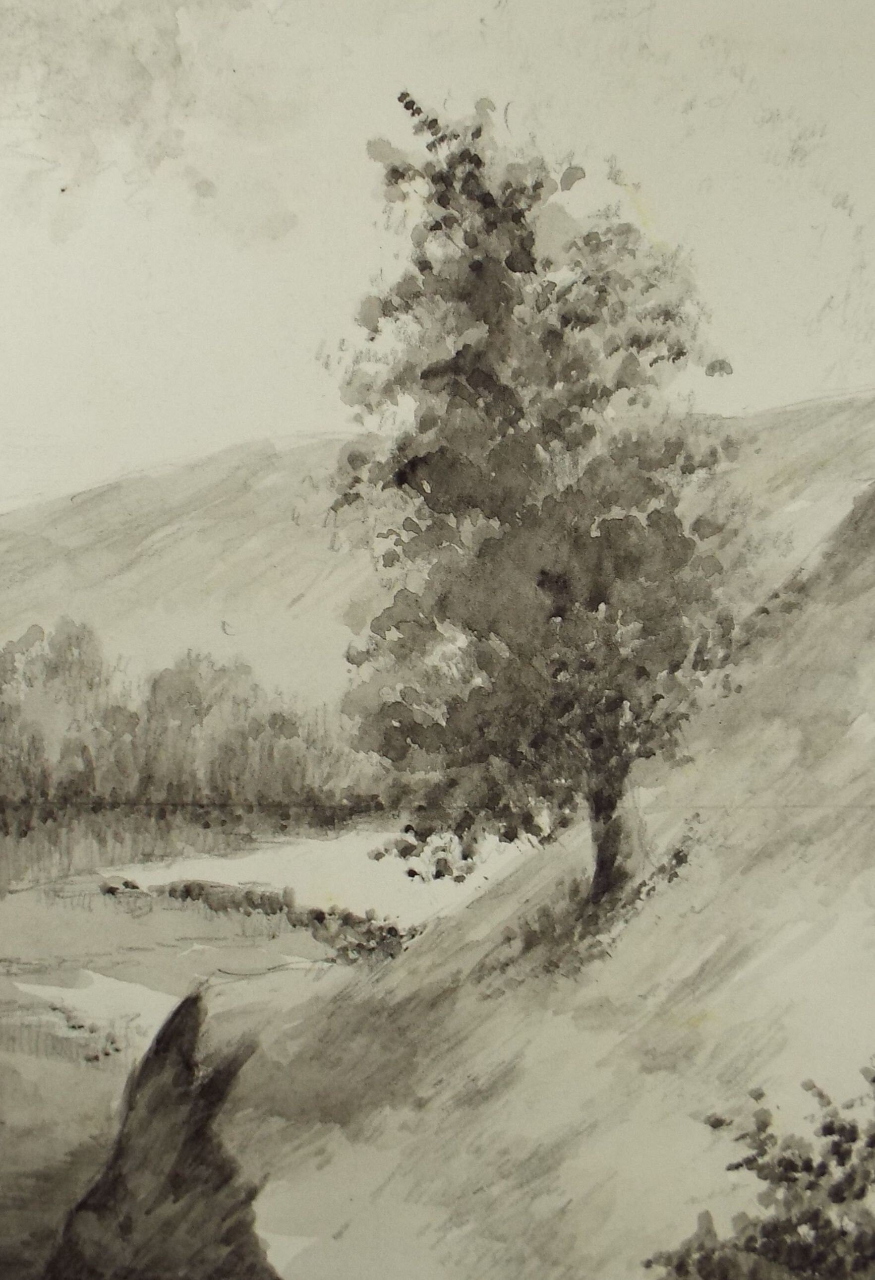 Original Ink & Wash, 'Trees in a Valley', A Simmons, Circa 1940's