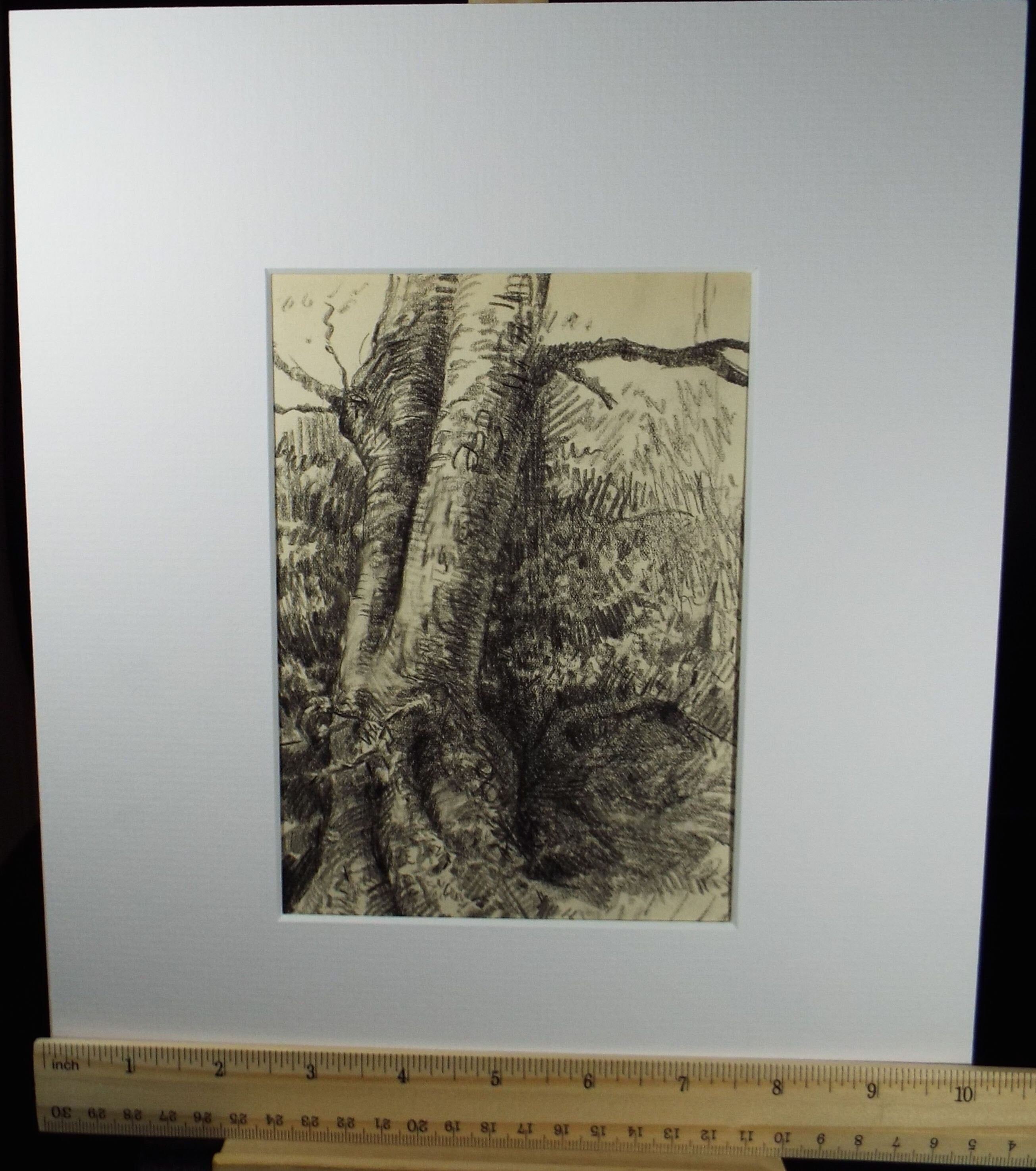 Original Pencil Drawing, 'Woodland Study', Early 20th Century, Artist Unknown