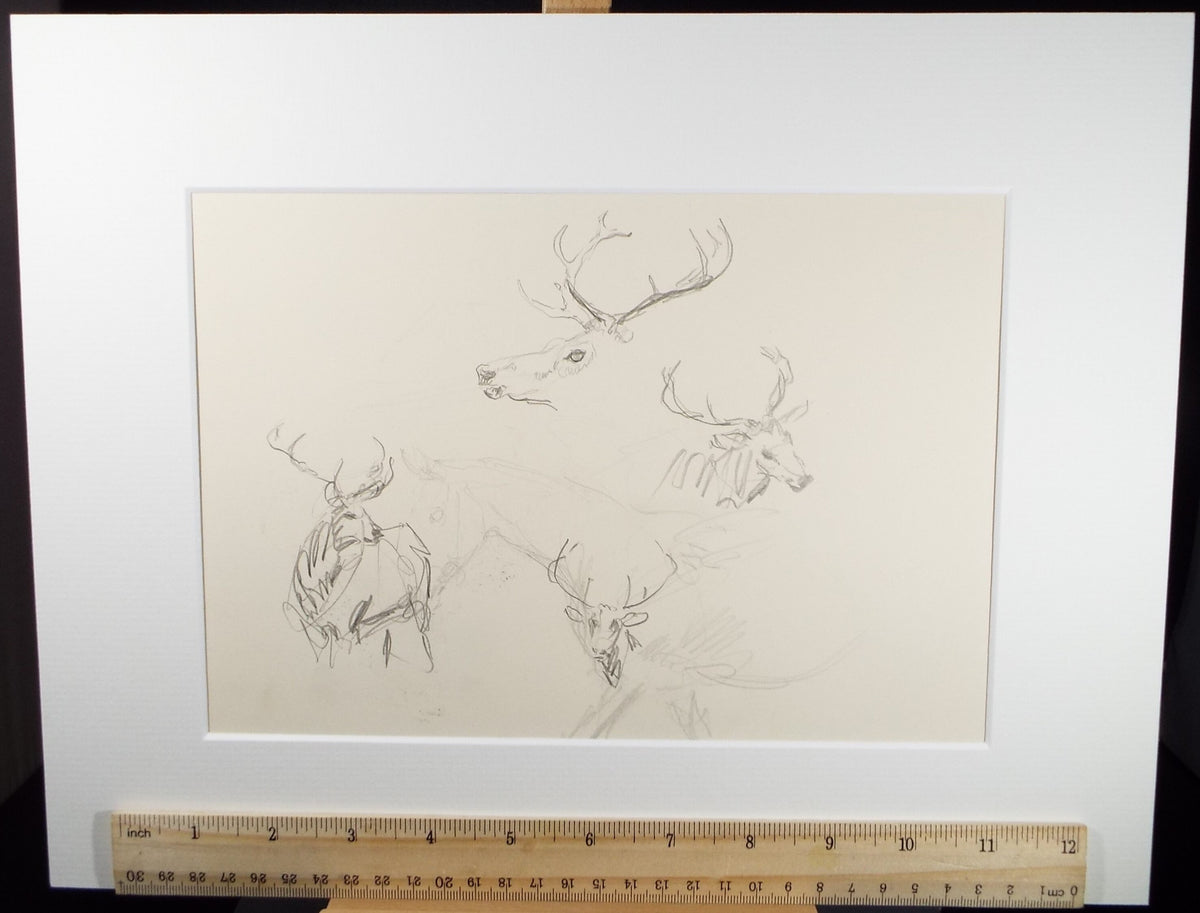 Original Pencil Sketch, Michael Lyne (1912-1989),'Study of Stags', Mid 20th Century