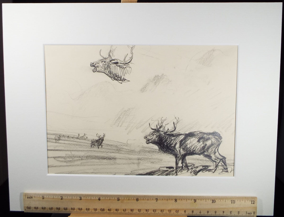 Original Pencil Sketch, Michael Lyne (1912-1989),'Stags on the Moor, Mid 20th Century