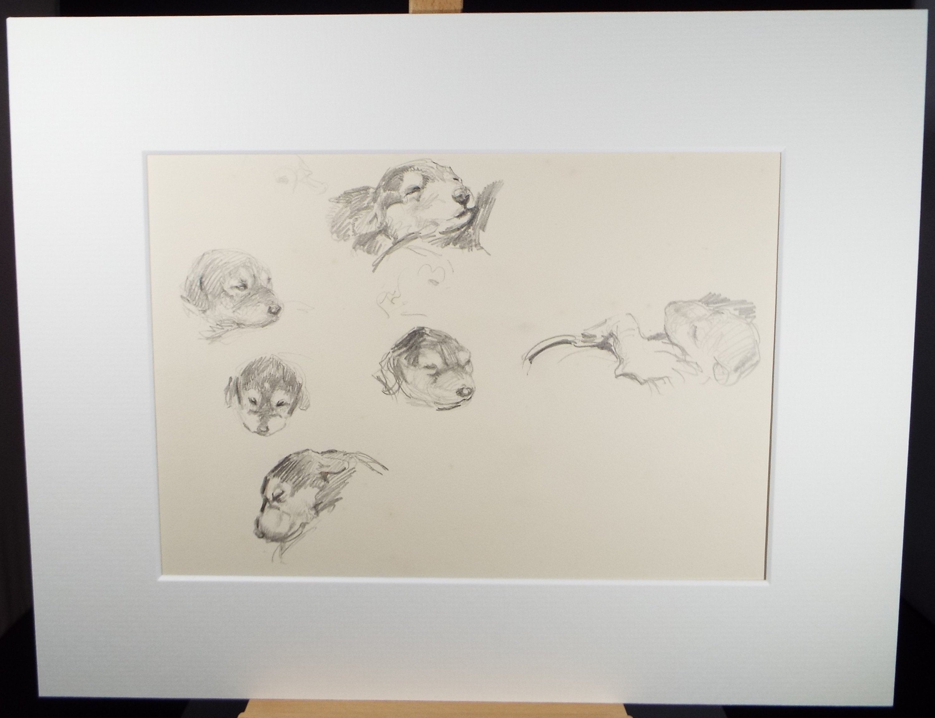 Original Pencil Sketch, Michael Lyne (1912-1989),'Puppy Study', Mid 20th Century