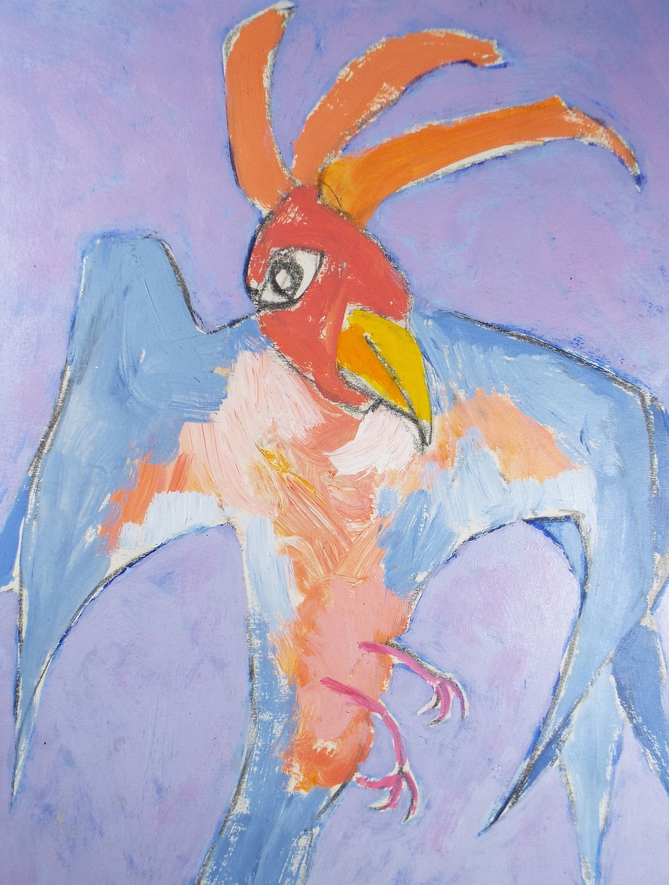 Barbara Karn (b1949), Original Gouache & Acrylic ,'Study of A Parrot', Circa 2000