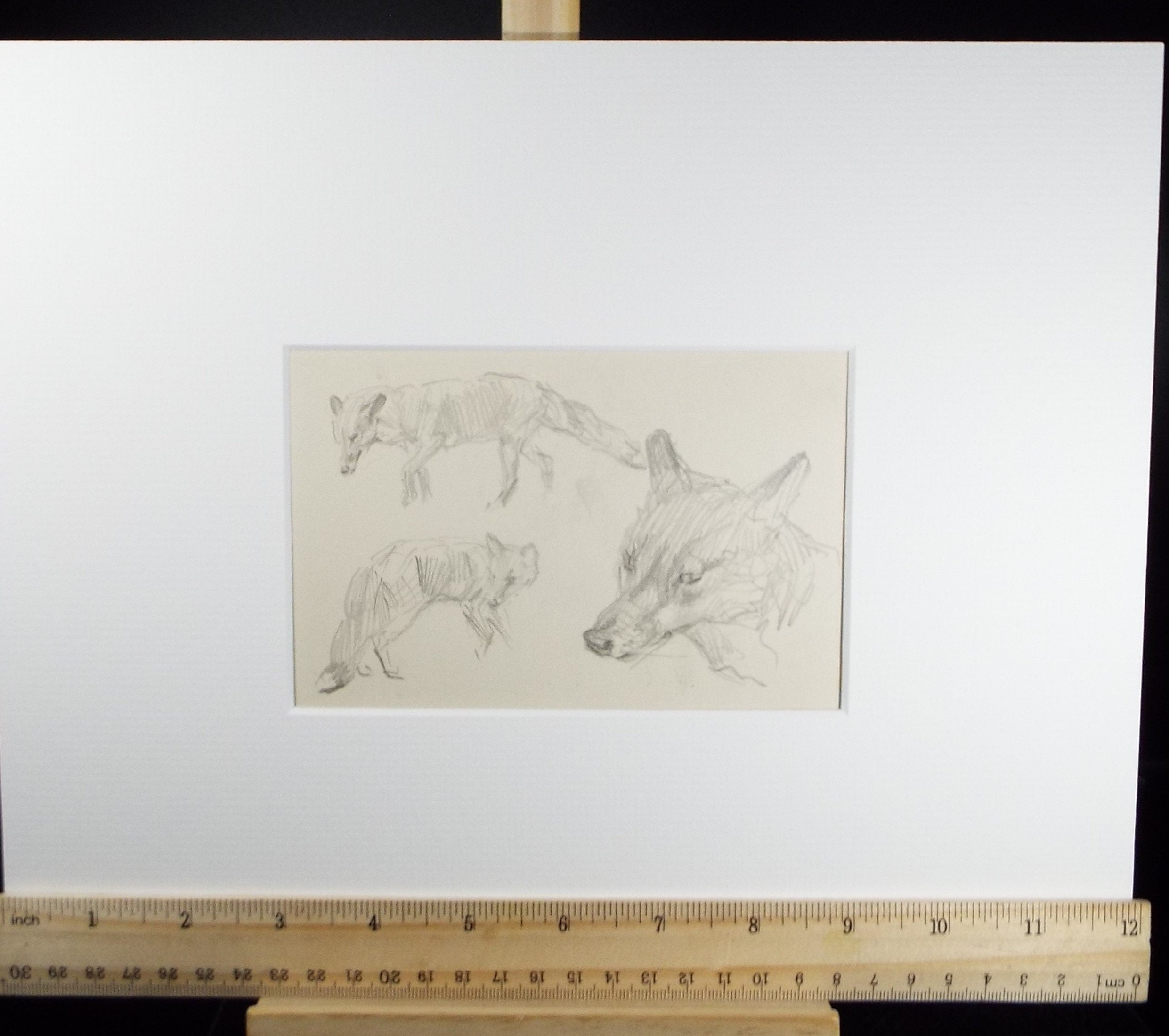 Original Pencil Sketch, Michael Lyne (1912-1989), 'Fox Study', Mid 20th Century