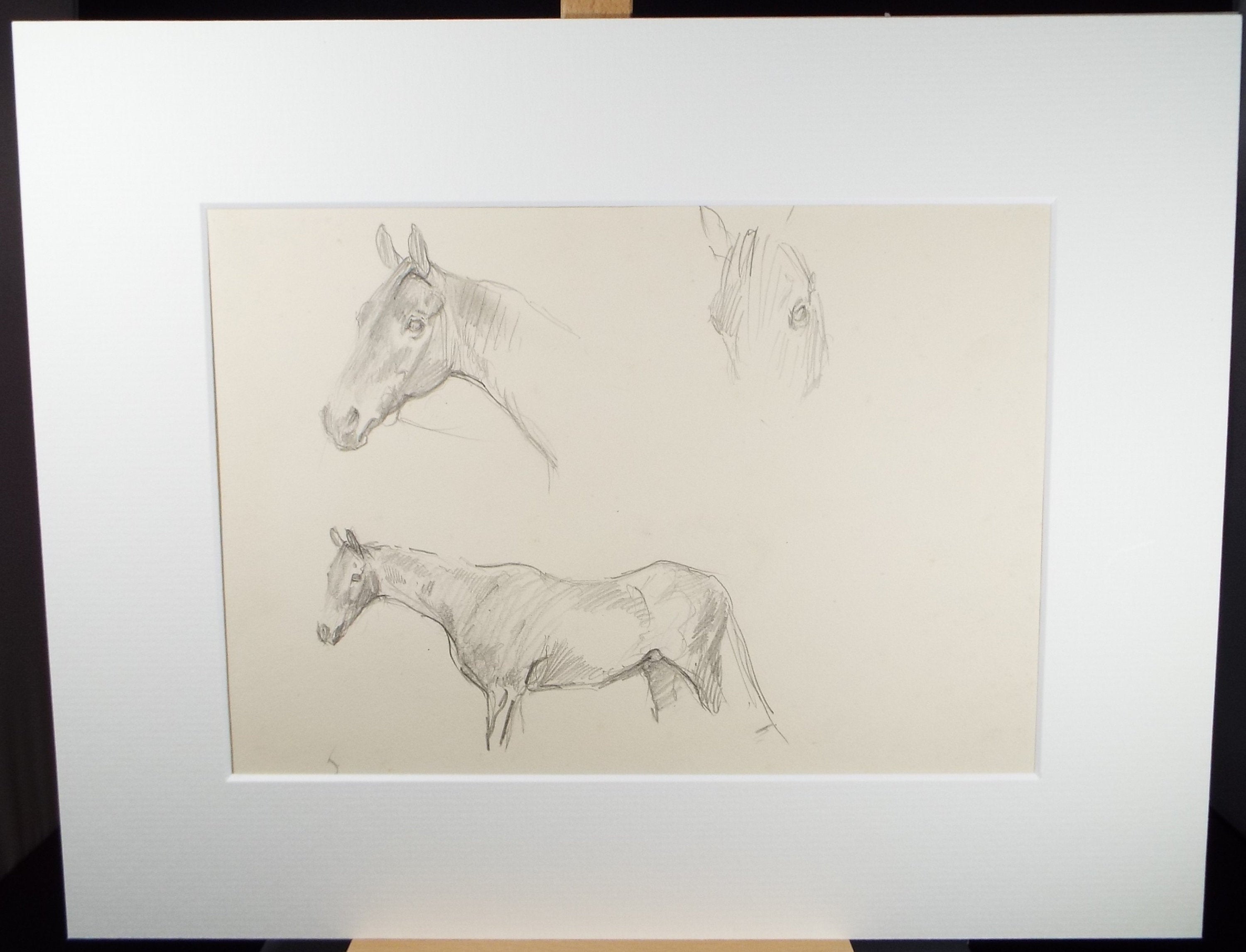 Original Pencil Sketch, Michael Lyne (1912-1989), 'Horse Study', Mid 20th Century