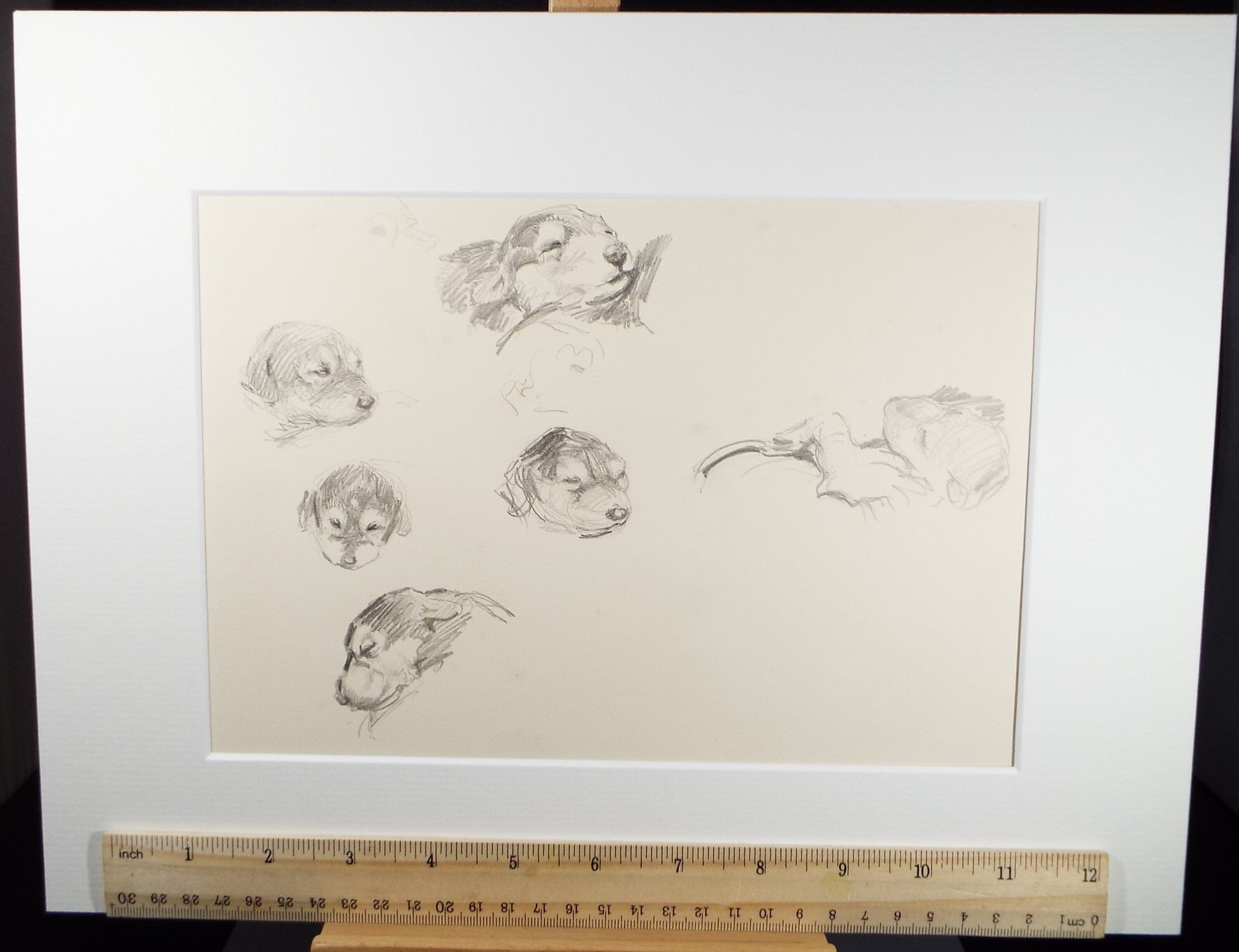 Original Pencil Sketch, Michael Lyne (1912-1989),'Puppy Study', Mid 20th Century