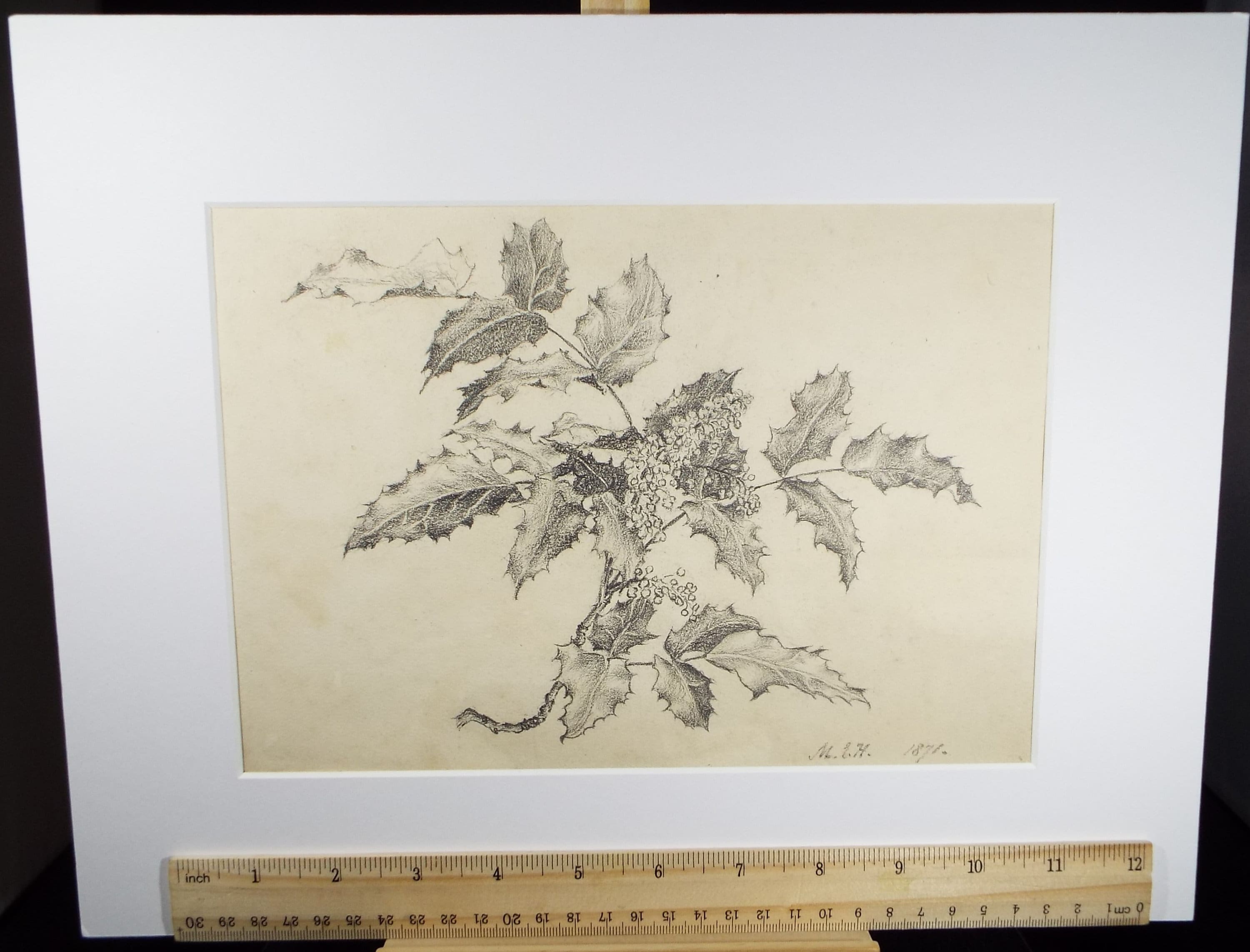 Original Pencil Drawing, 'Holly Study', Dated 1871, Initialled M.E.H