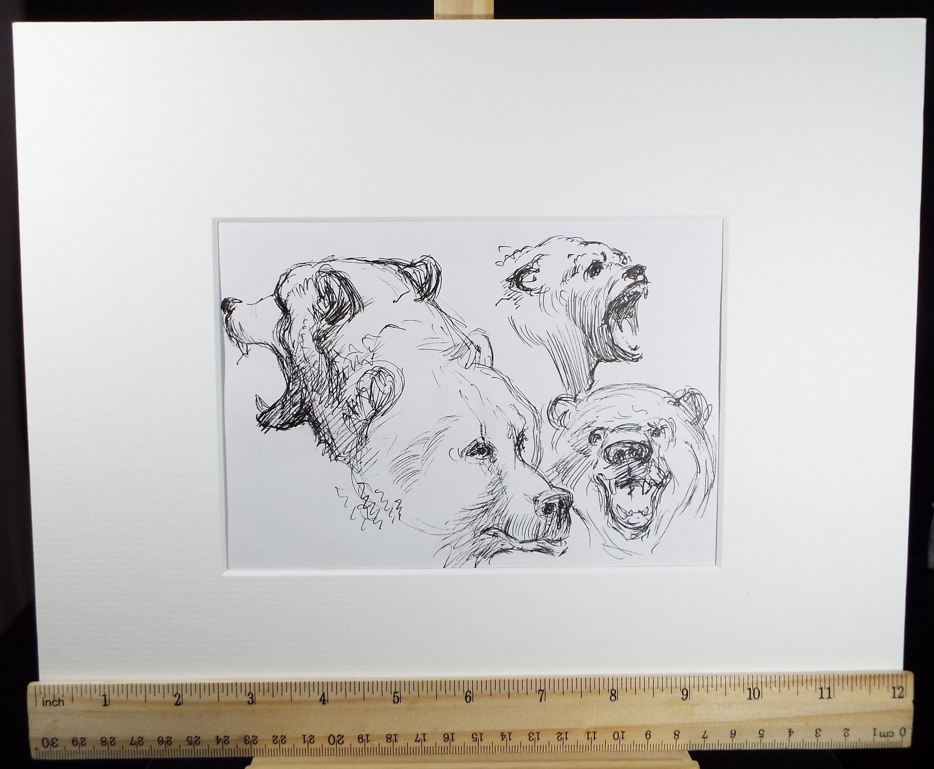 Original Pen & Ink, 'Bear Study', Circa 1990's , John Williams (20th Century British)