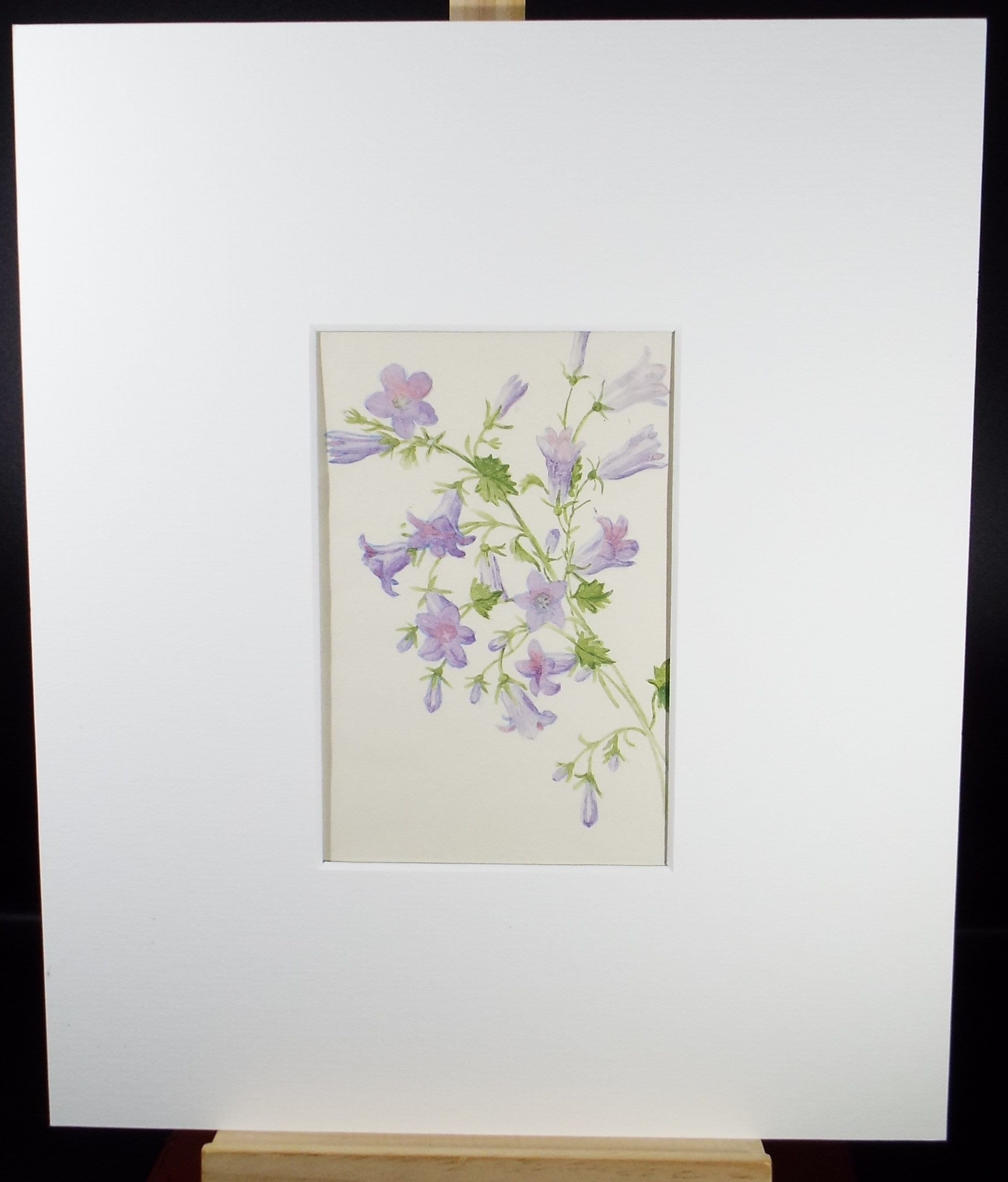 Original Watercolour, 'Purple Lady Bells', circa 1875, Artist Unknown