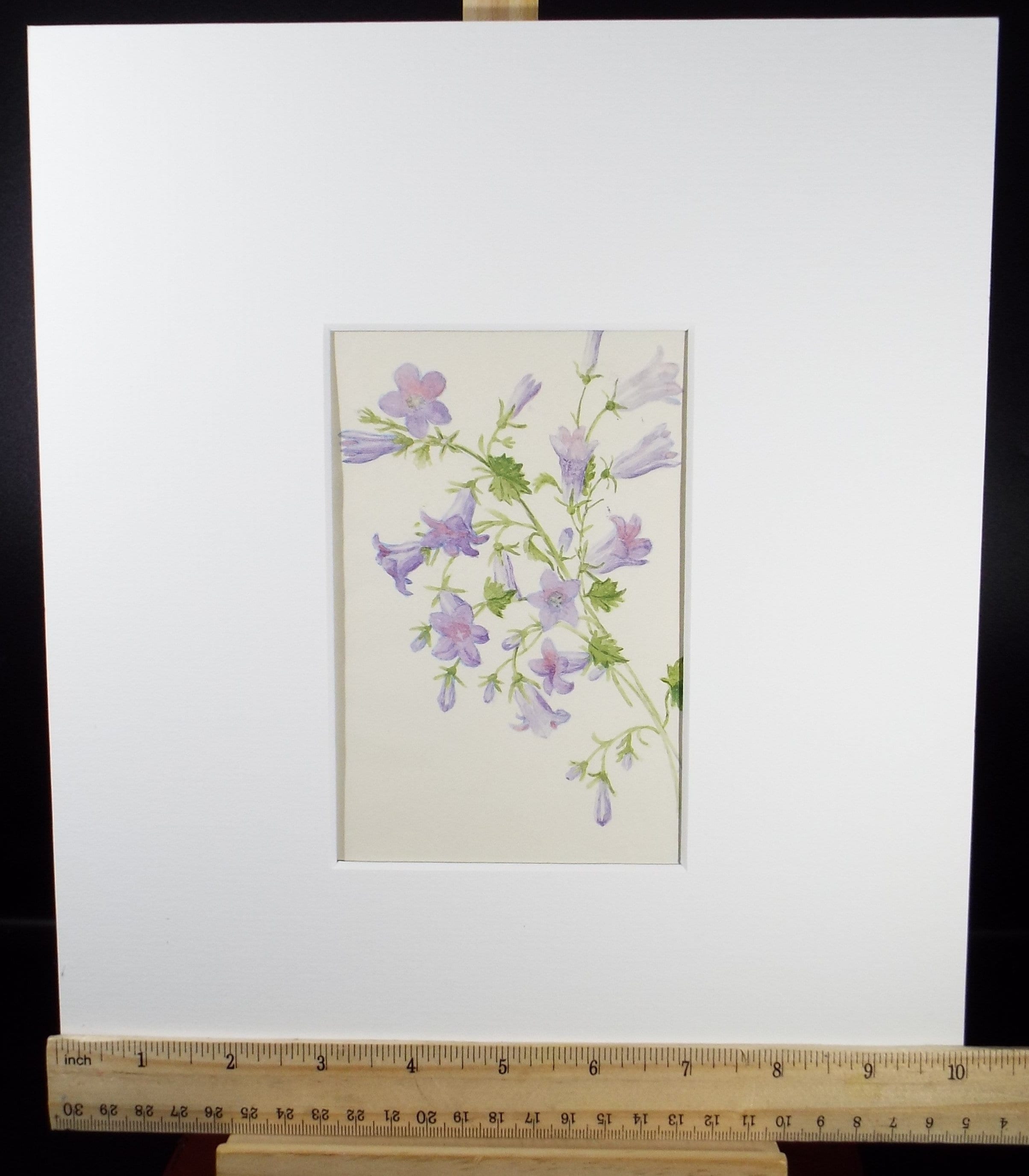 Original Watercolour, 'Purple Lady Bells', circa 1875, Artist Unknown