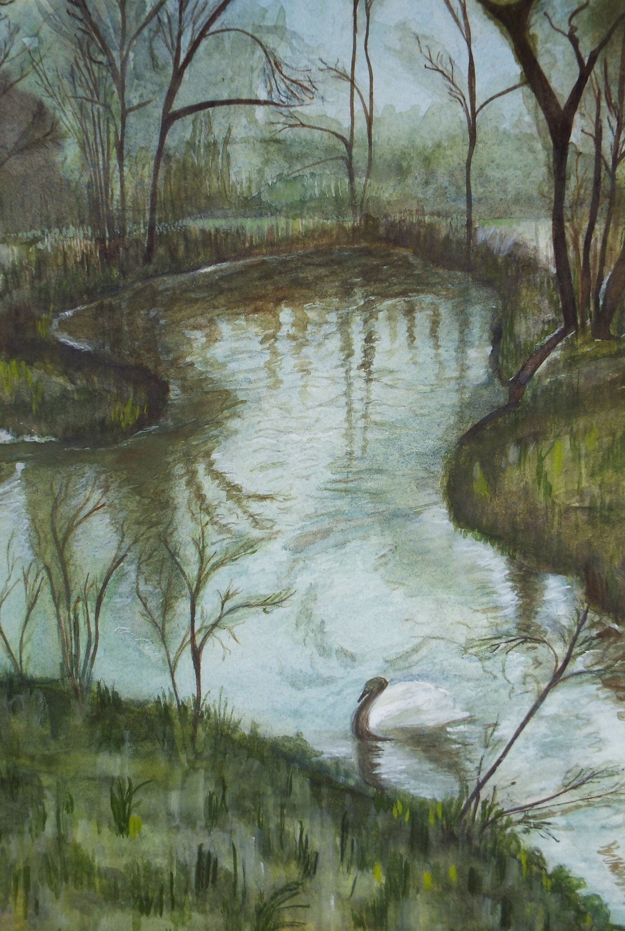 Original Watercolour, 'Swan on the Mere', c1990's, Unknown Artist