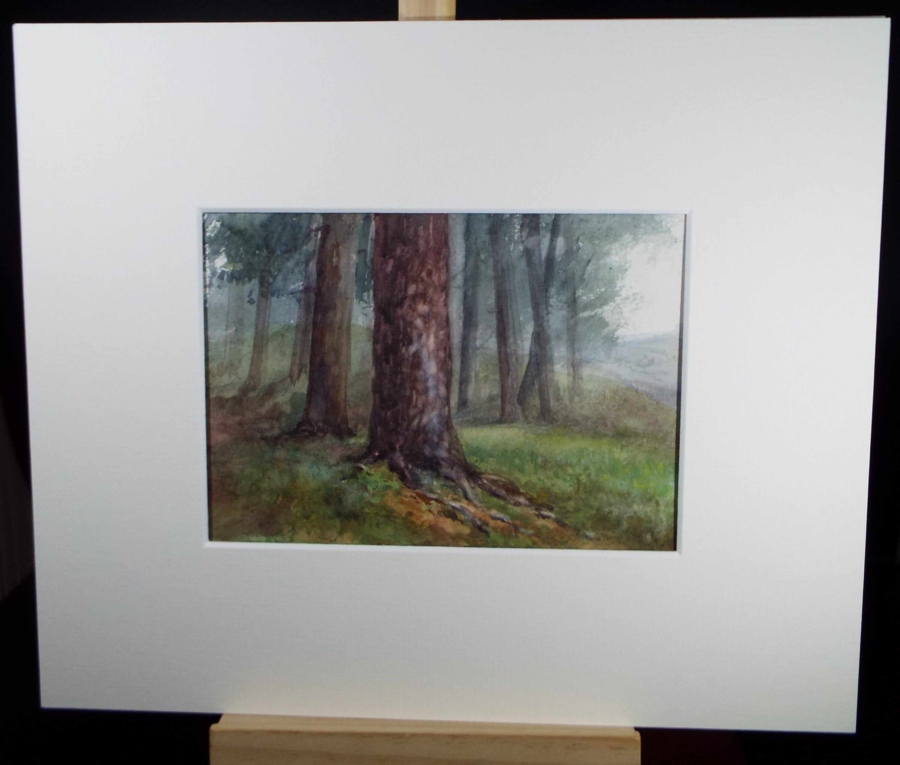 Original Watercolour Sketch , 'Woodland Study', c1910, Unknown Artist
