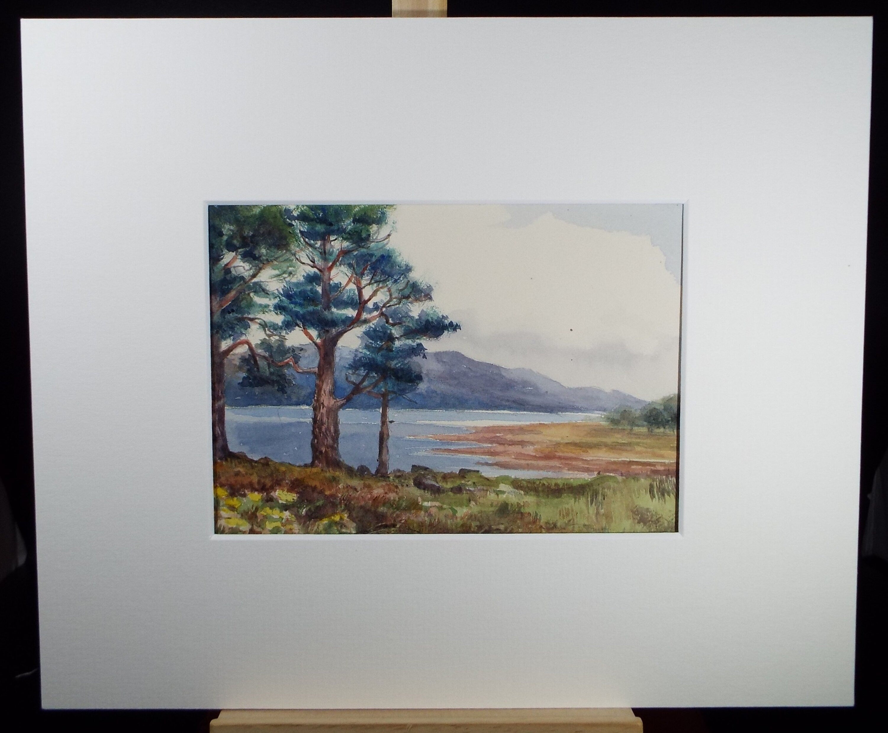 Original Watercolour Sketch, 'Lochside with Pine Trees', c1910, Unknown Artist