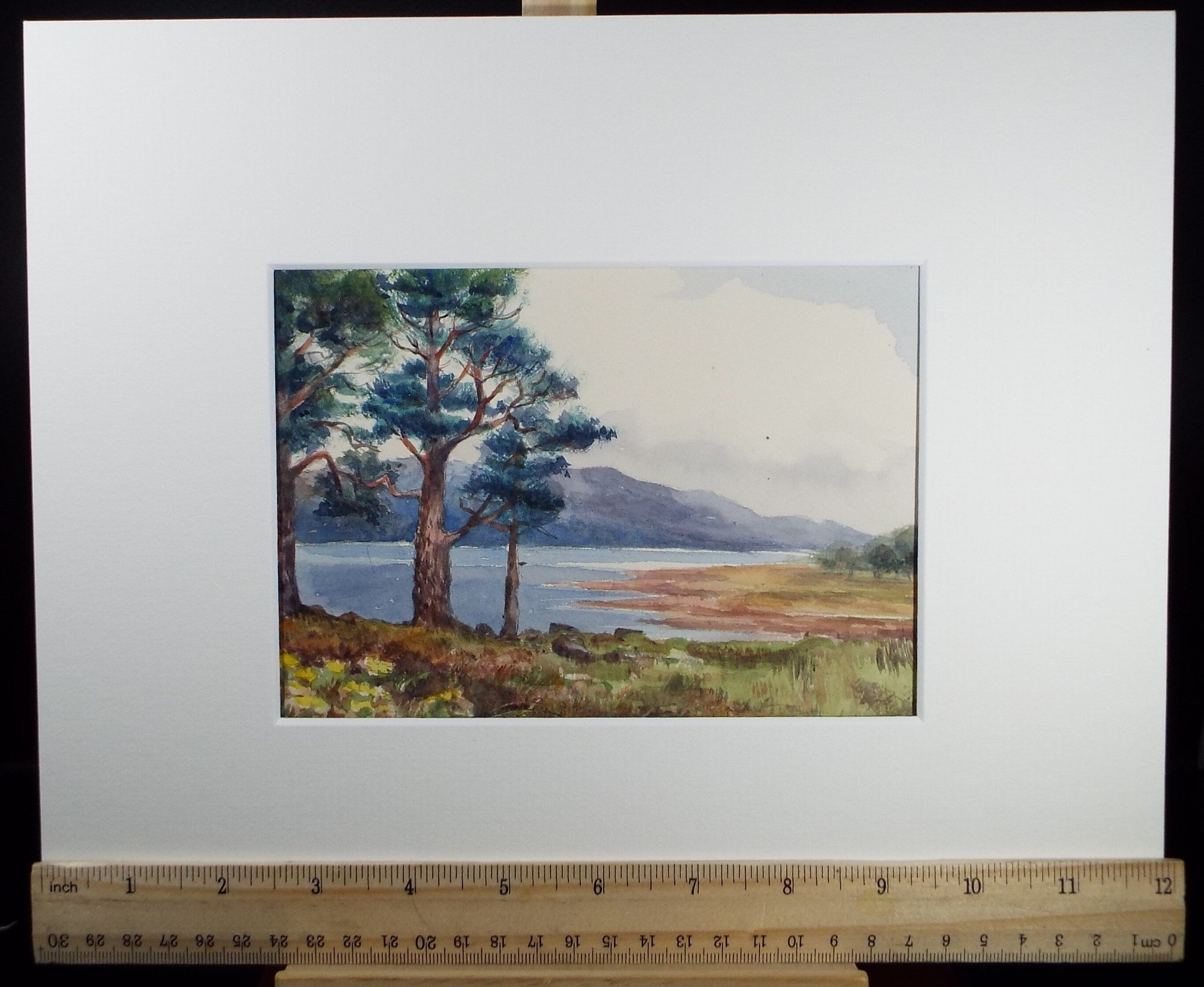 Original Watercolour Sketch, 'Lochside with Pine Trees', c1910, Unknown Artist