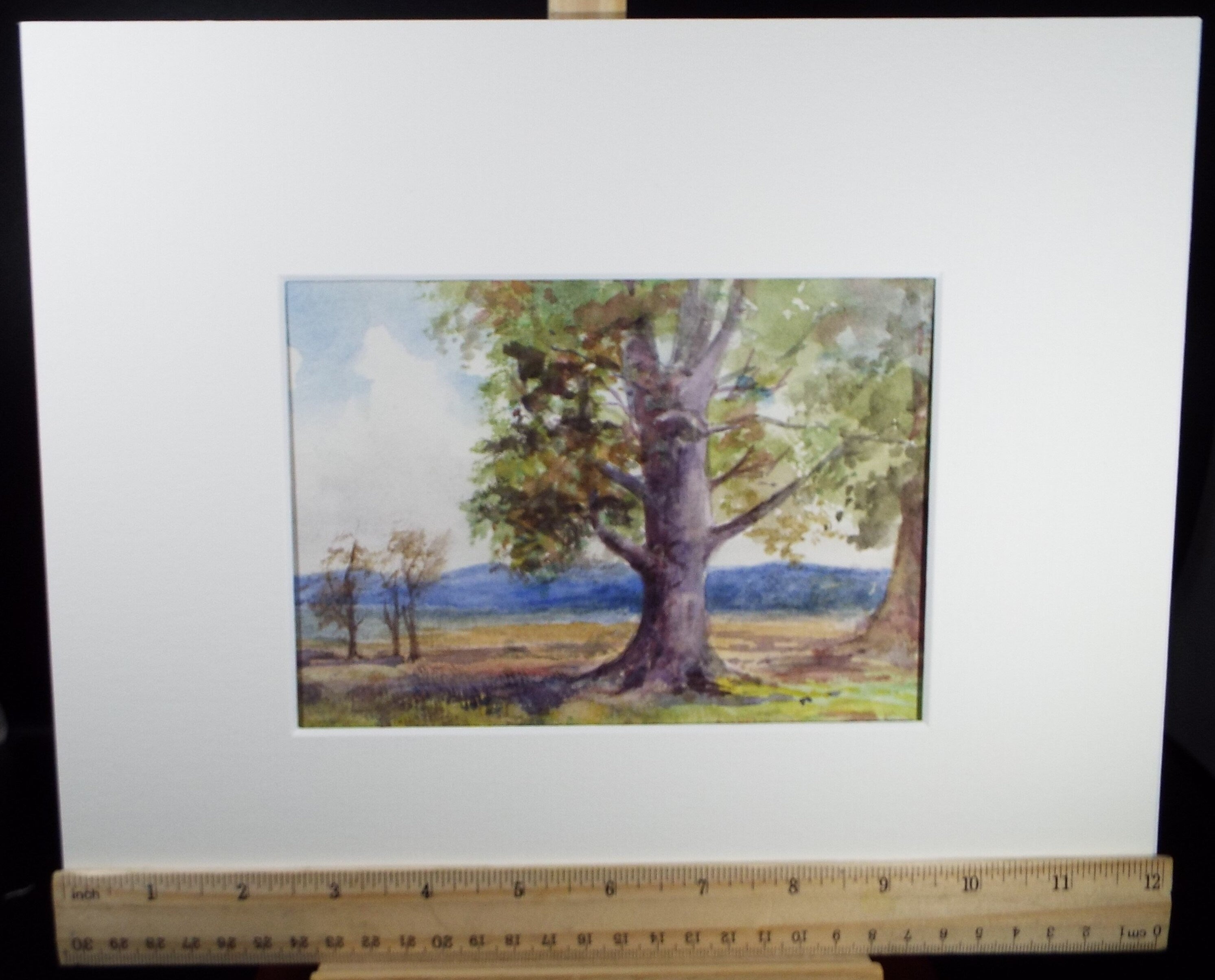 Original Watercolour Sketch, 'Beach Tree in a Landscape', c1910, Unknown Artist