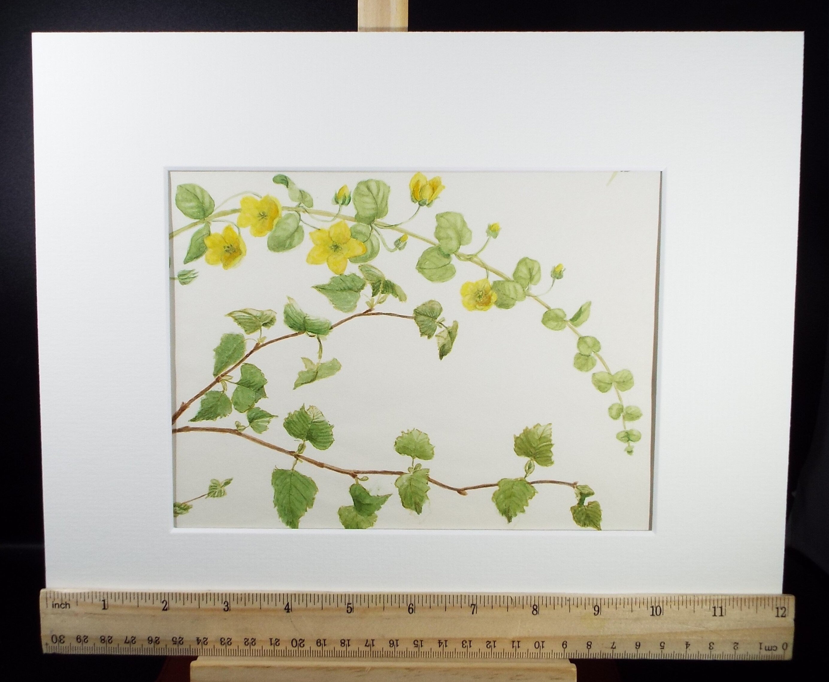 Original Watercolour, 'Silver Birch with Climber', circa 1875, Artist Unknown