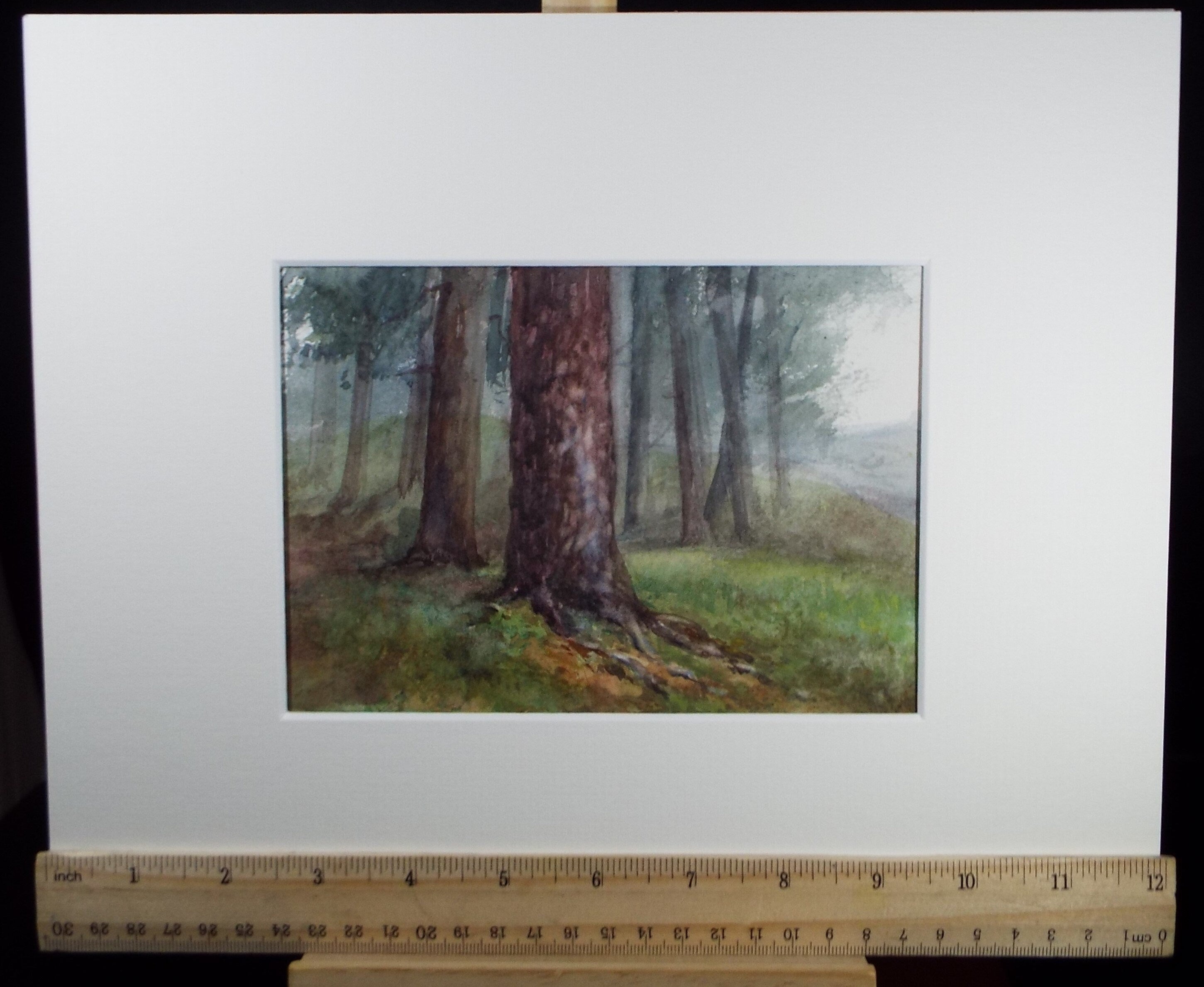 Original Watercolour Sketch , 'Woodland Study', c1910, Unknown Artist